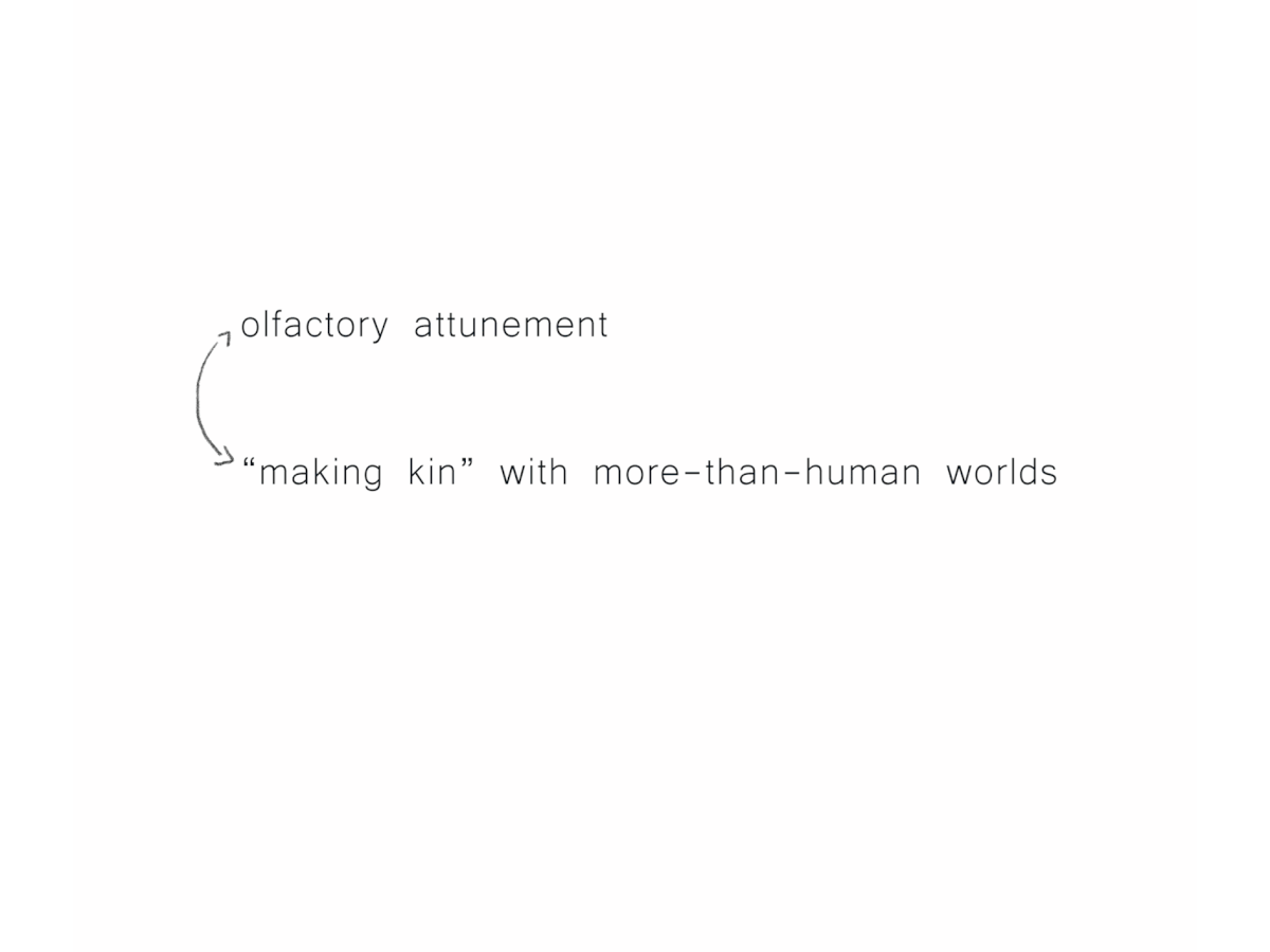 Lowana Davies - Kinning with olfactory ecologies