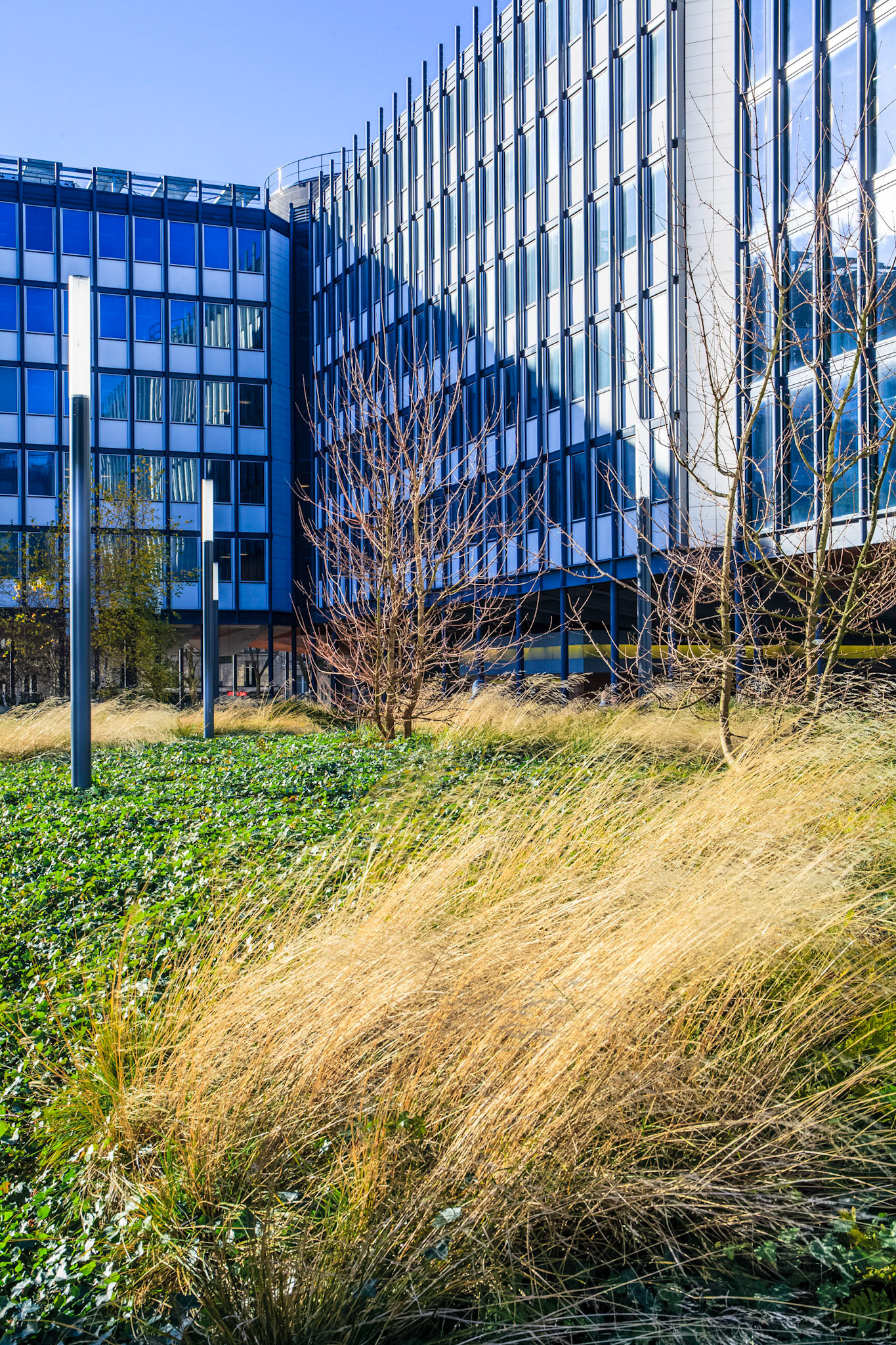 architecturestudio • Jussieu Campus, Paris
