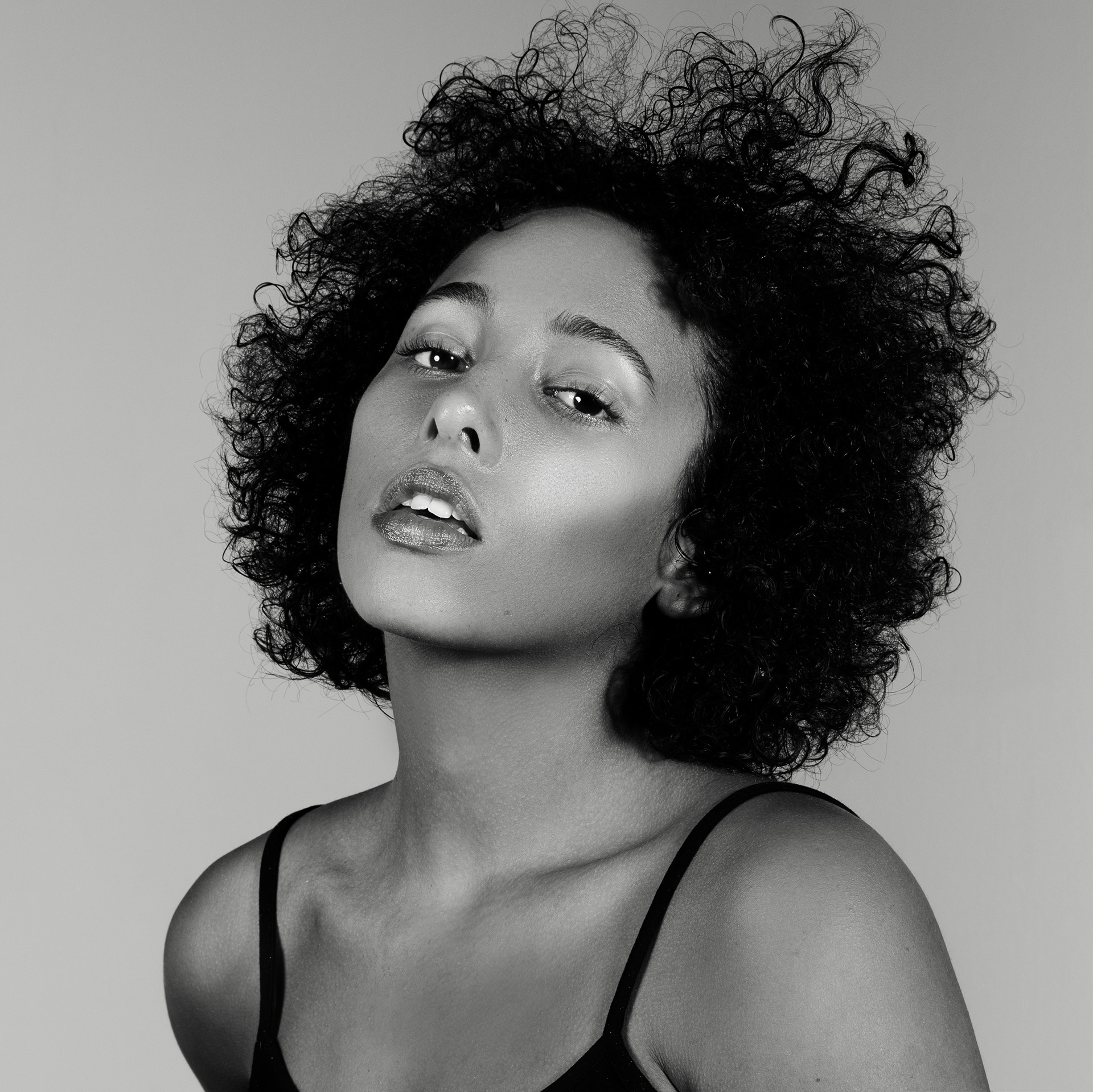 Dani, 2019.
