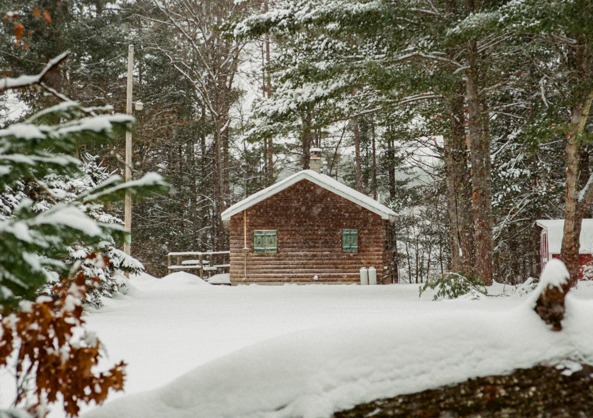 The Cabin