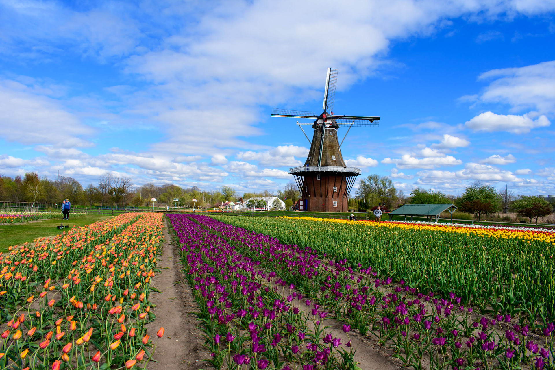 The De Zwann windmill in Holland, MI