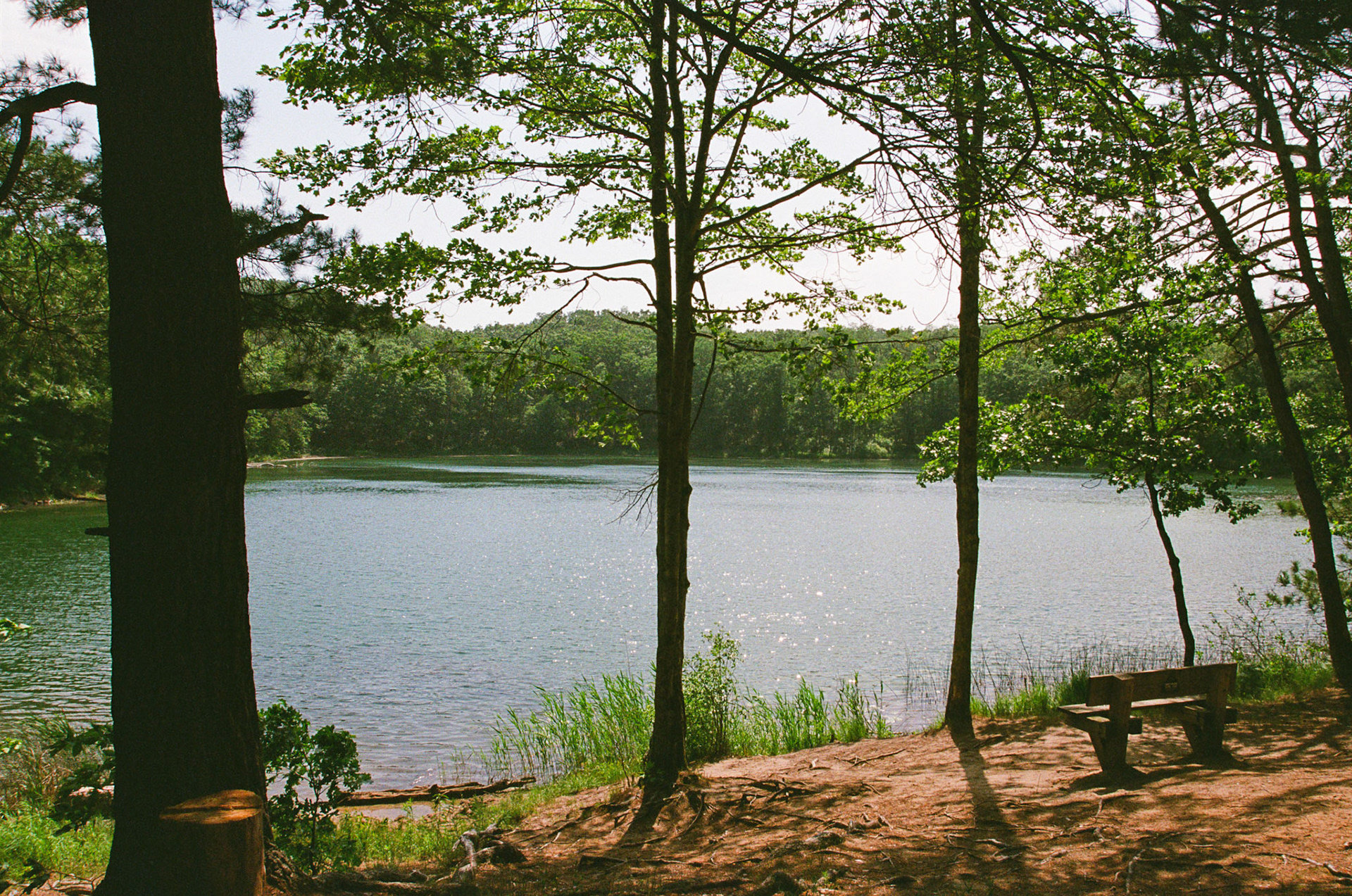 R0002-S31