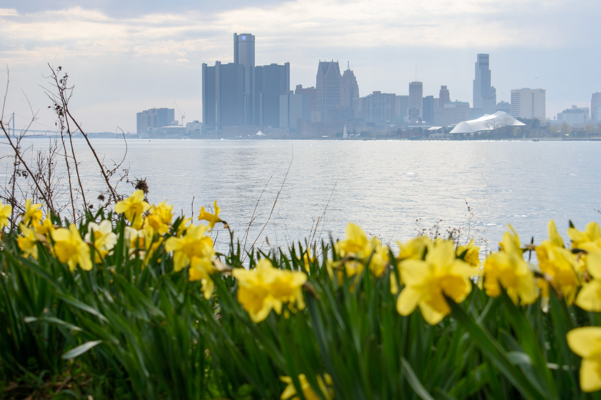 The Detroit skyline as seen from Belle Isle.