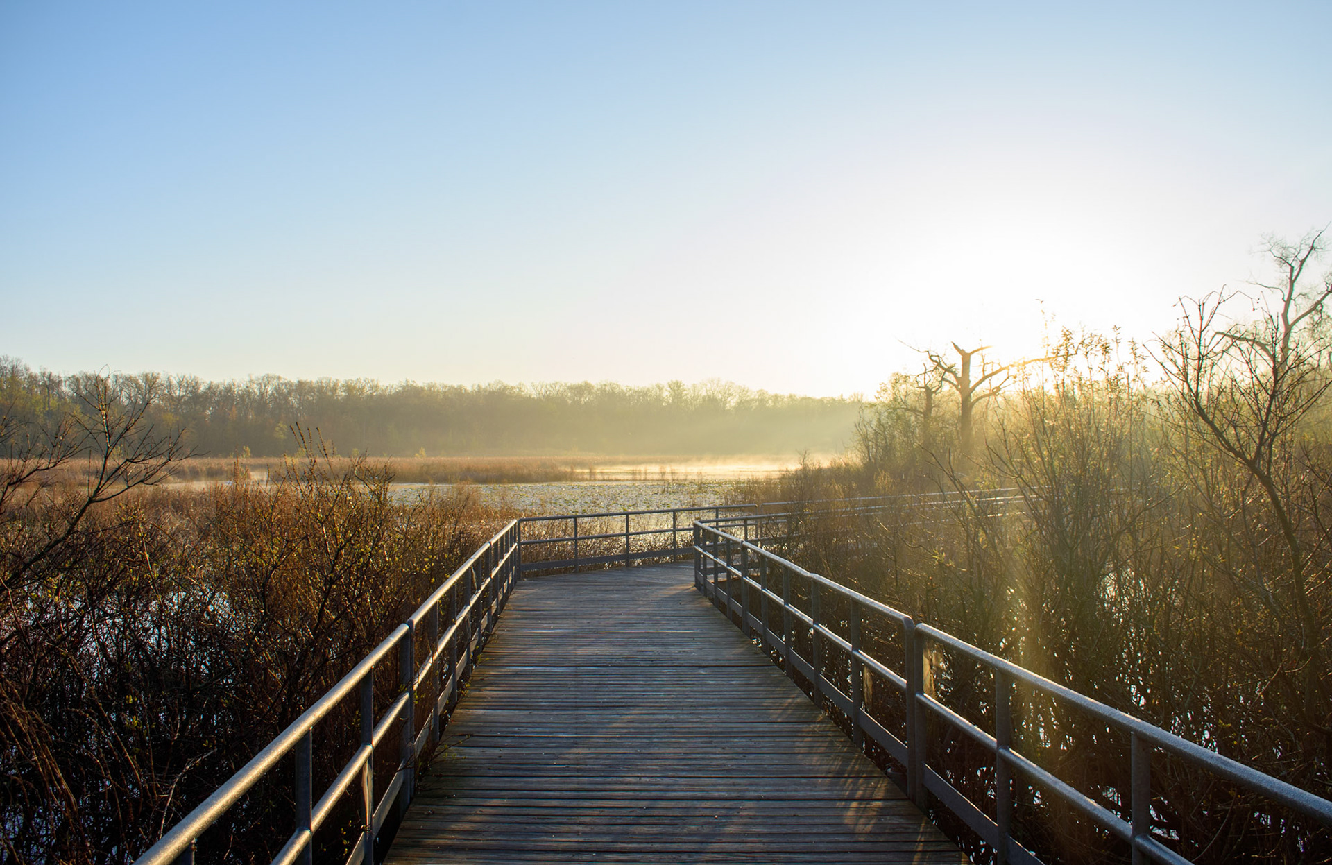 Reed's Lake Sunrise (0028)