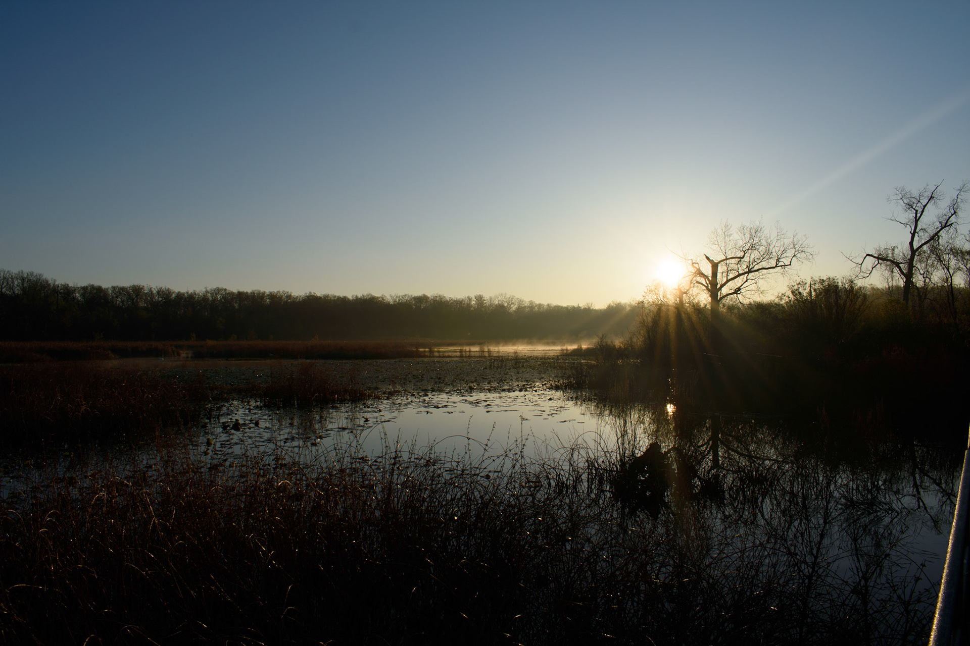 Reed's Lake Sunrise (0029)