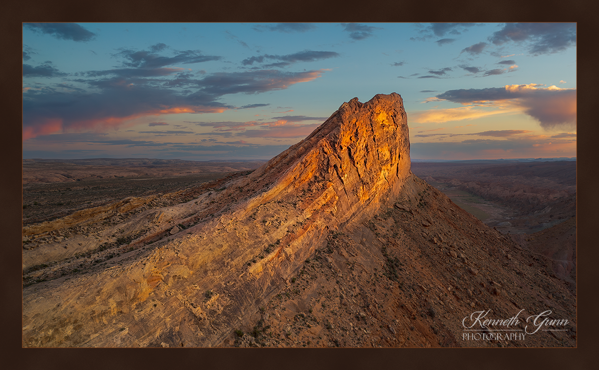 Golden Crest
