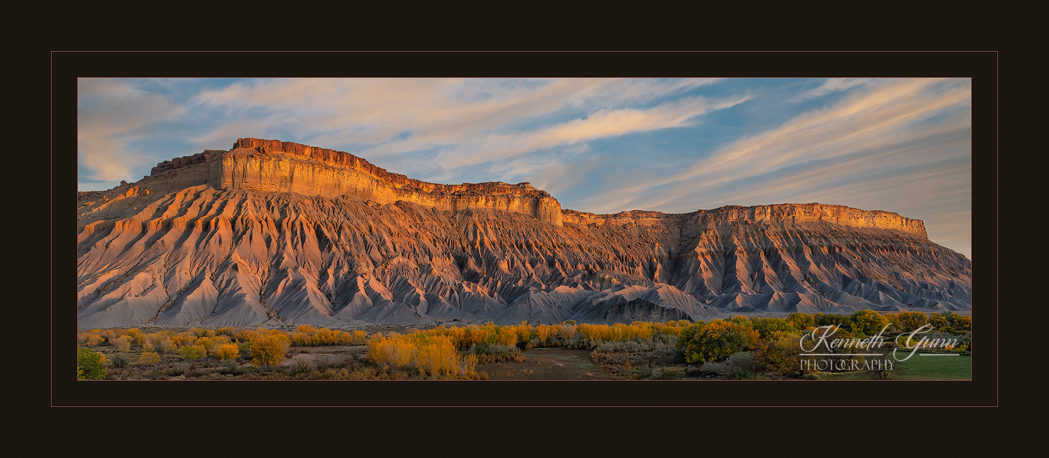 Nature's Paintbrush