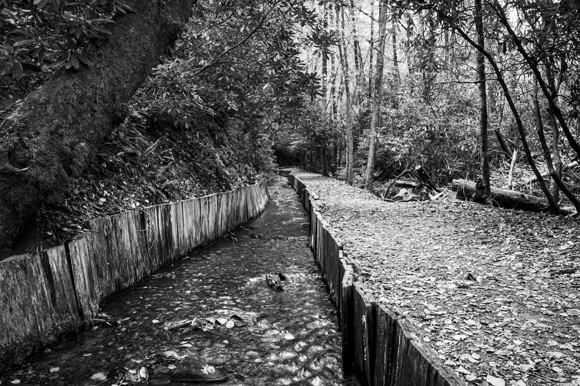 The Long Way to the Mill