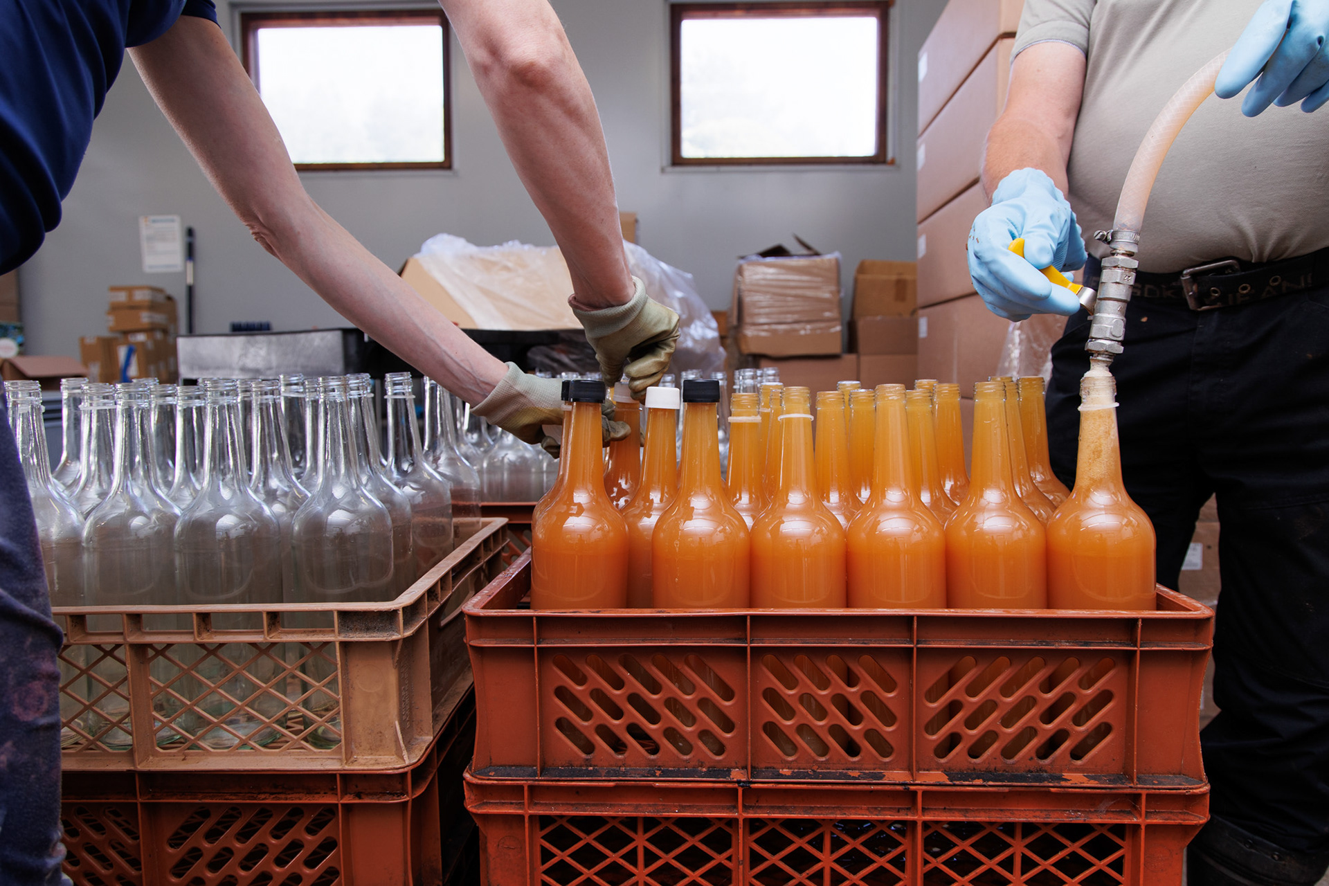 Apples to juice season for STT-Lehtikuva/Finnish News Agency. 2024