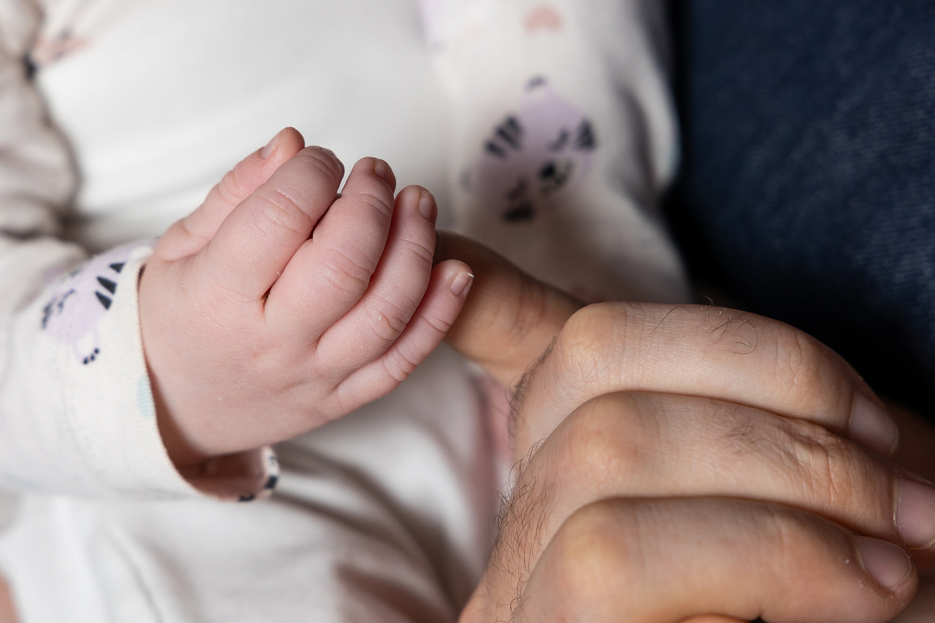 Illustration on newborn babies & parenthood. STT-Lehtikuva/The Finnish News Agency, 2024