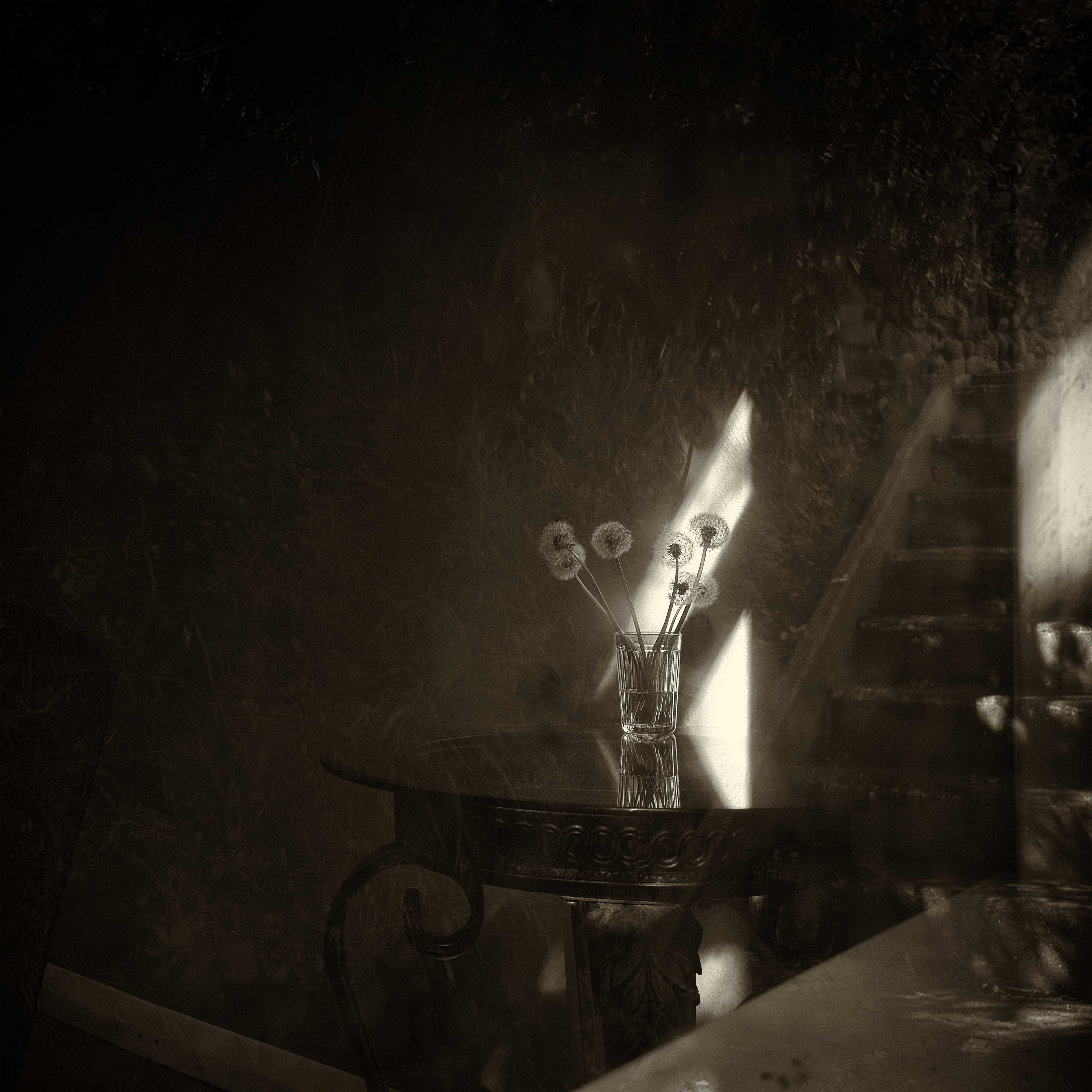 Dandelions traditional