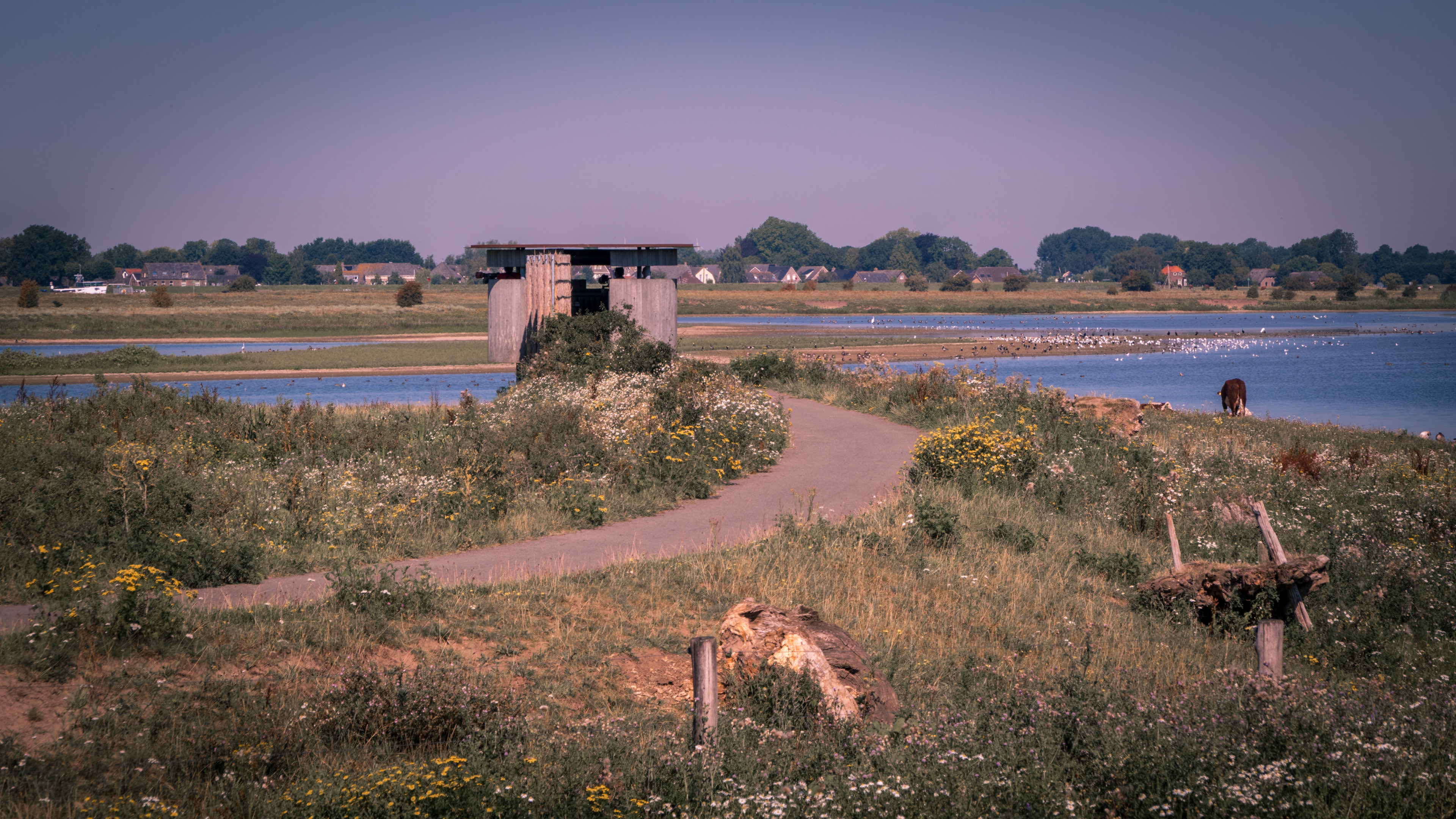 Vogelspotters Vreugderdijkerwaard met op de achtergrond het dorp Zalk