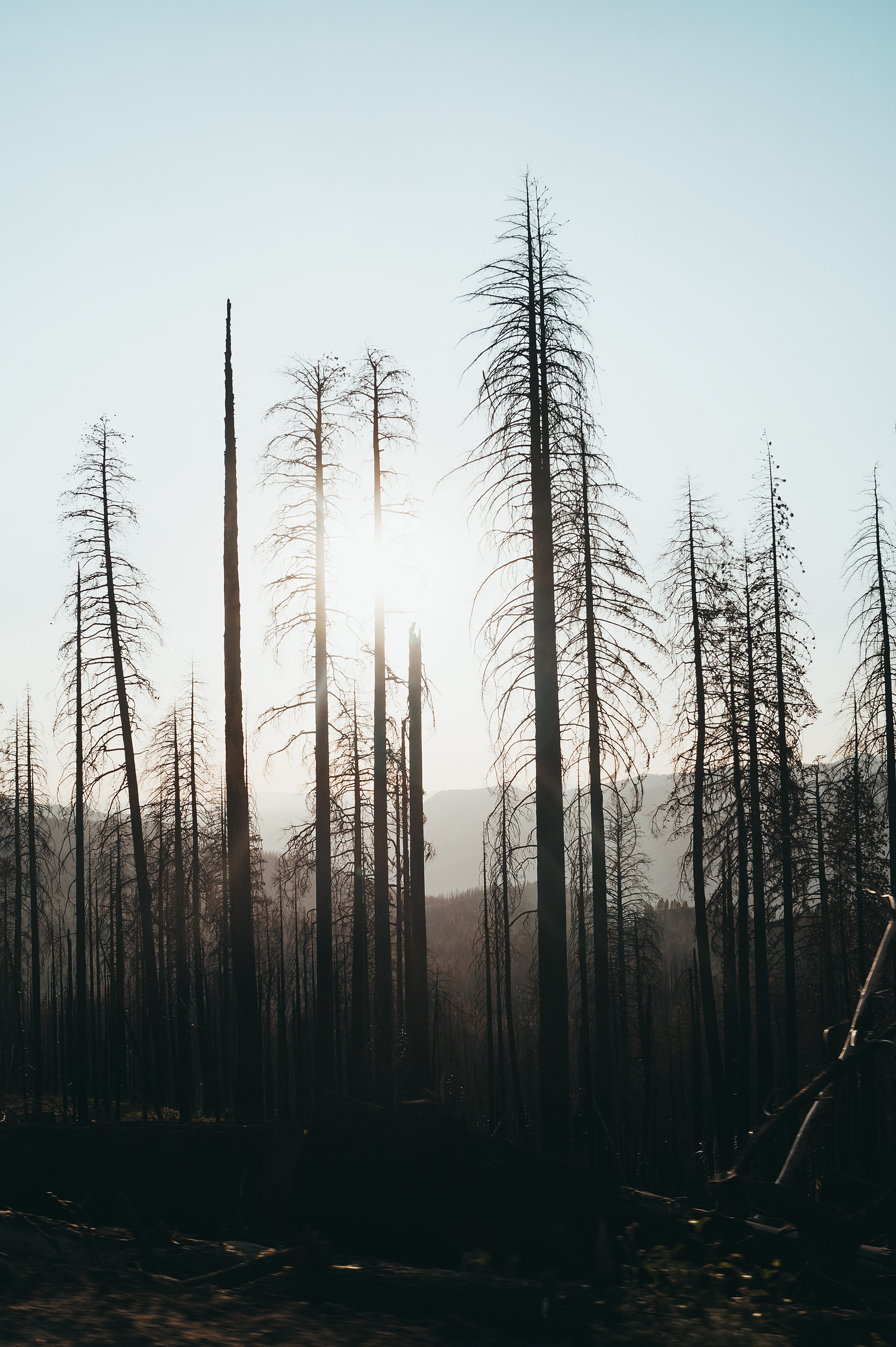 Grand Canyon National Park