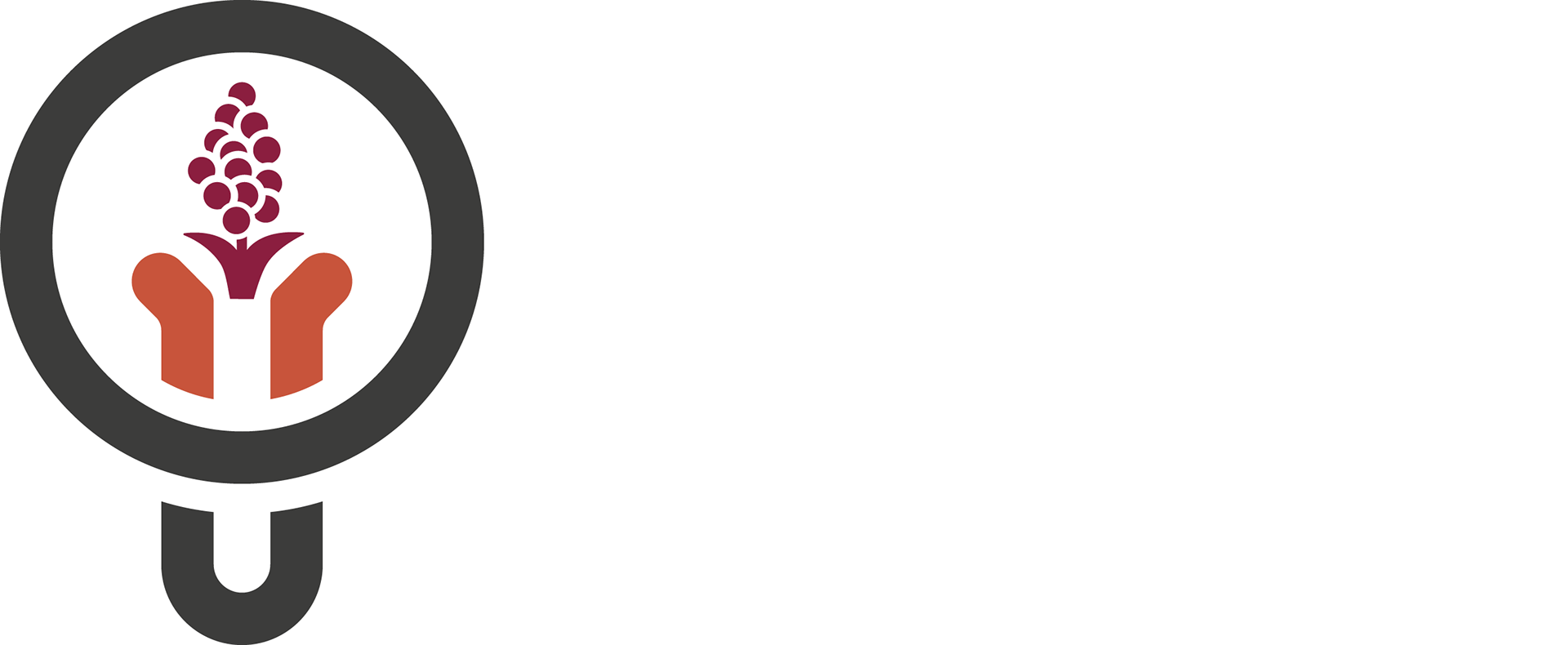 IPAL - 2025