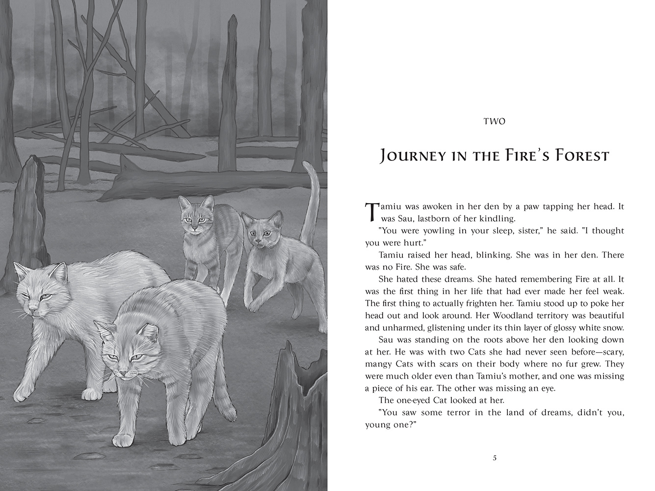 Chaper title spread with illustration