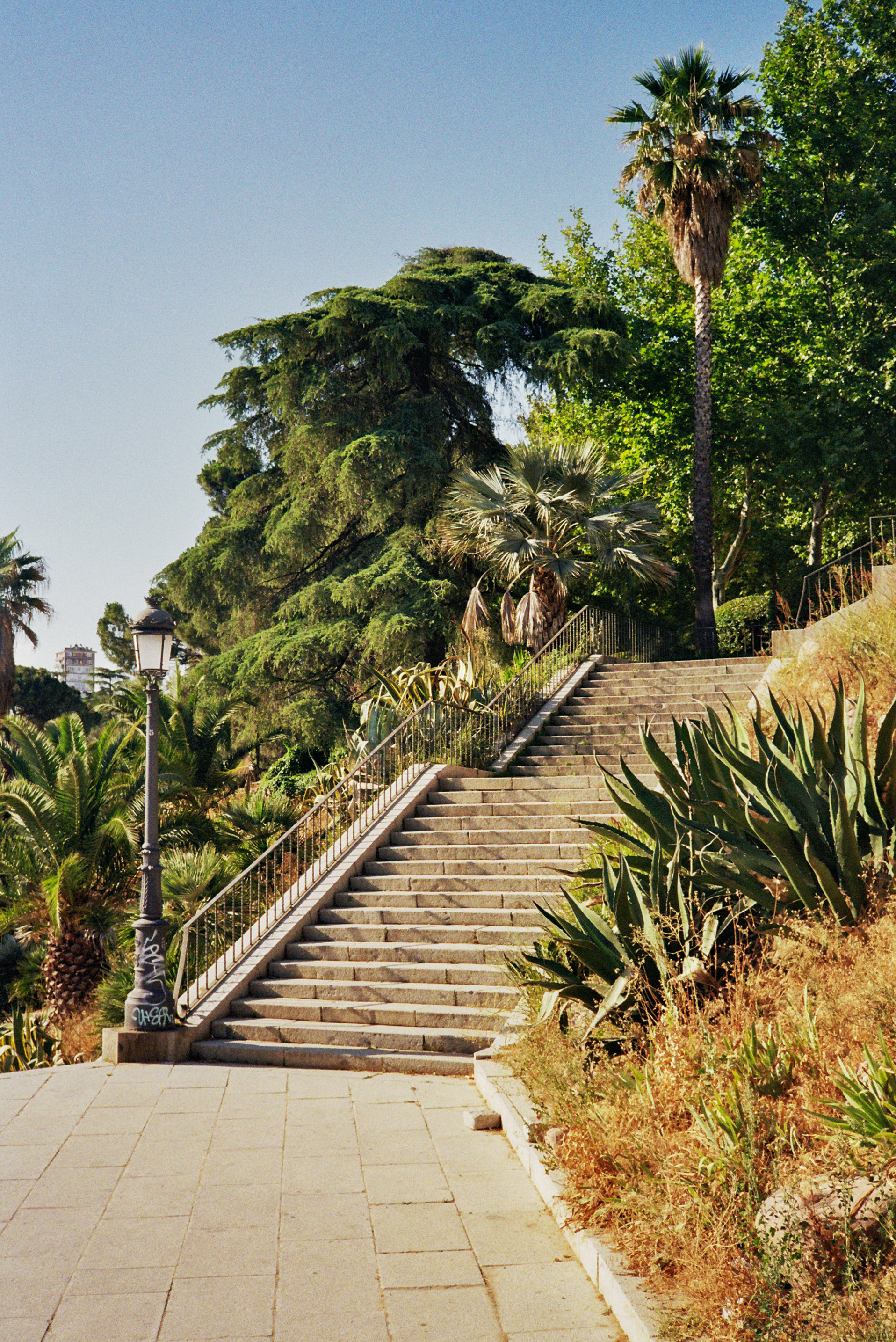 Photo argentique, sur pellicule Kodak Gold 200