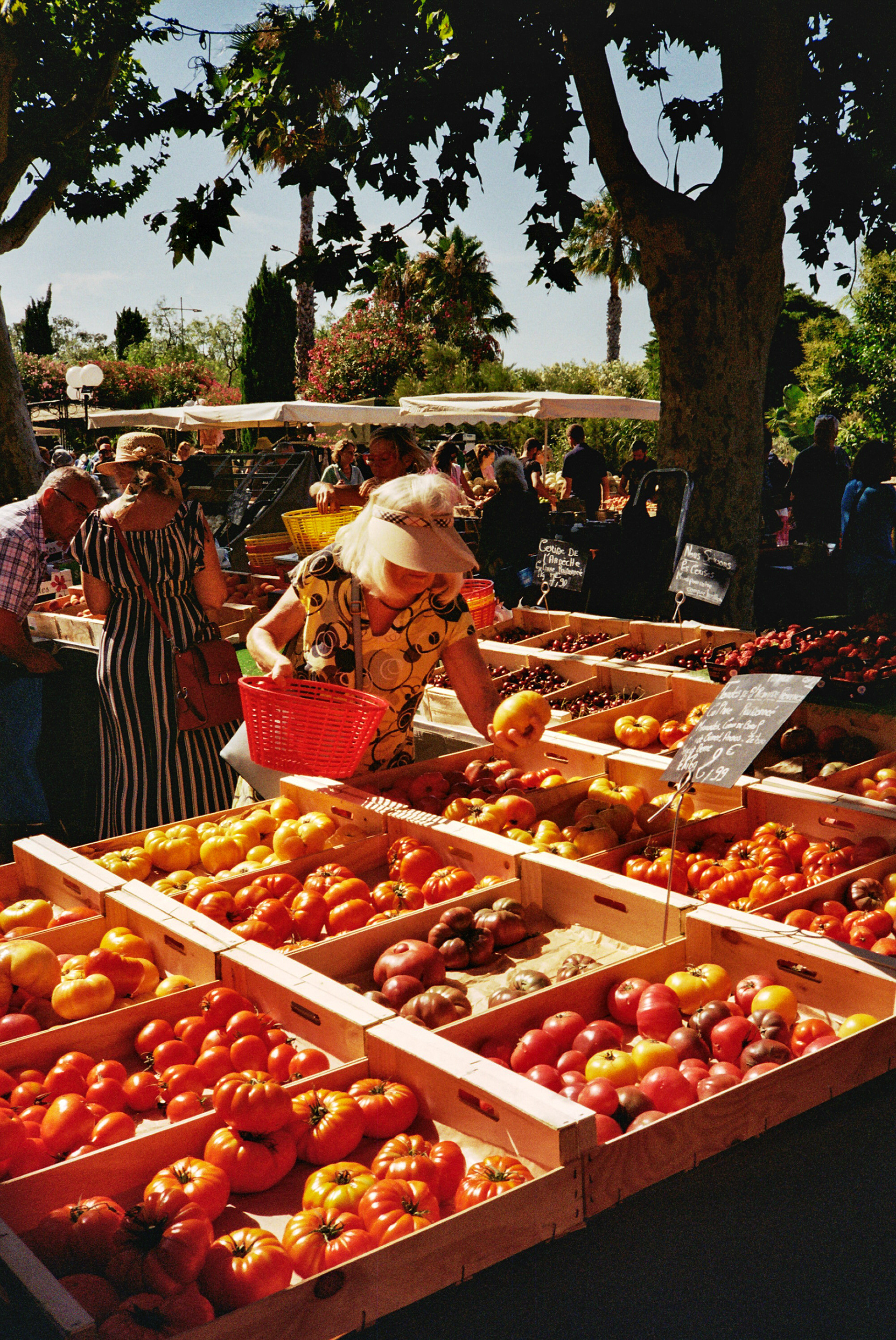 Photo argentique, sur pellicule Kodak Gold 200