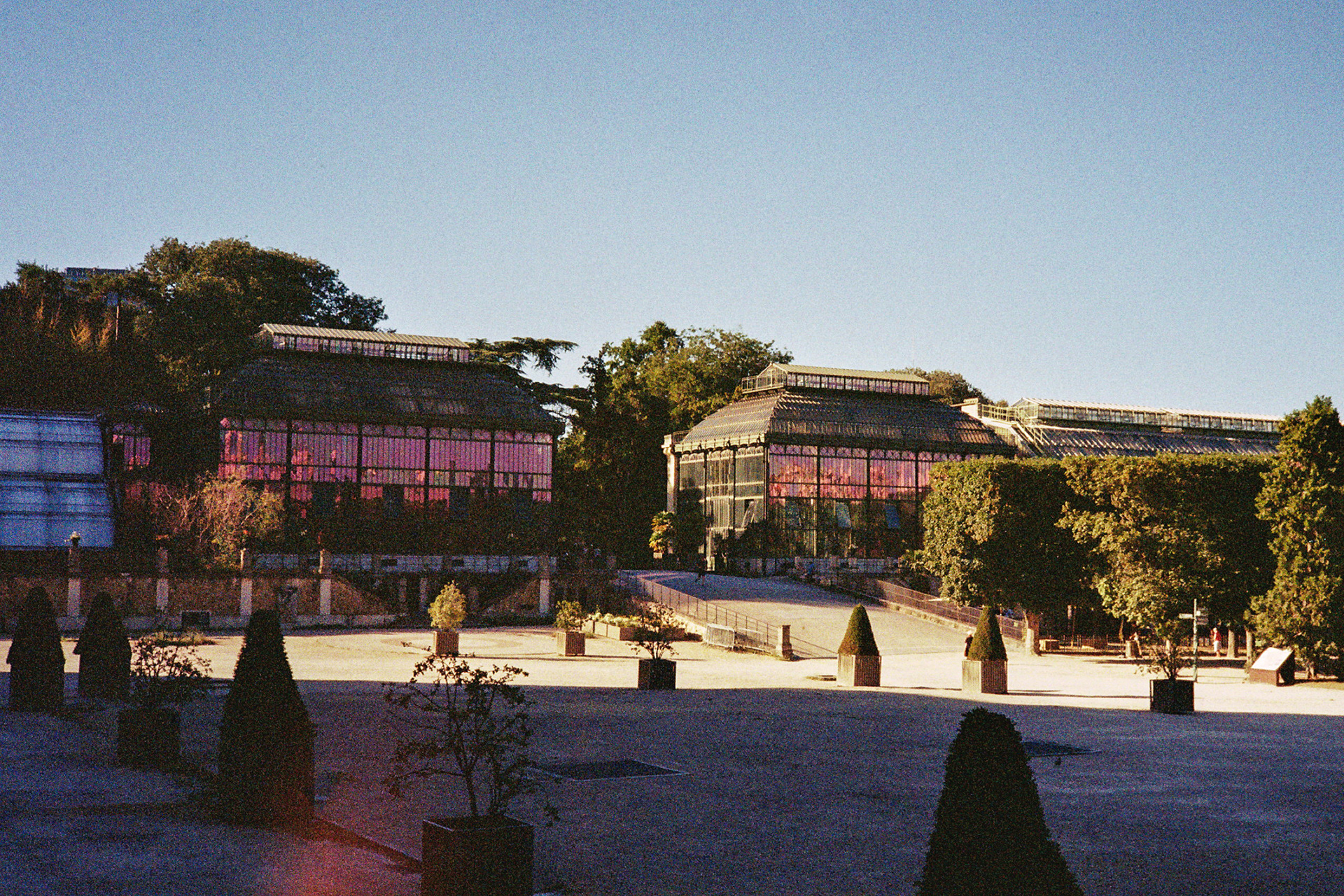 Photo argentique, sur pellicule Kodak Gold 200