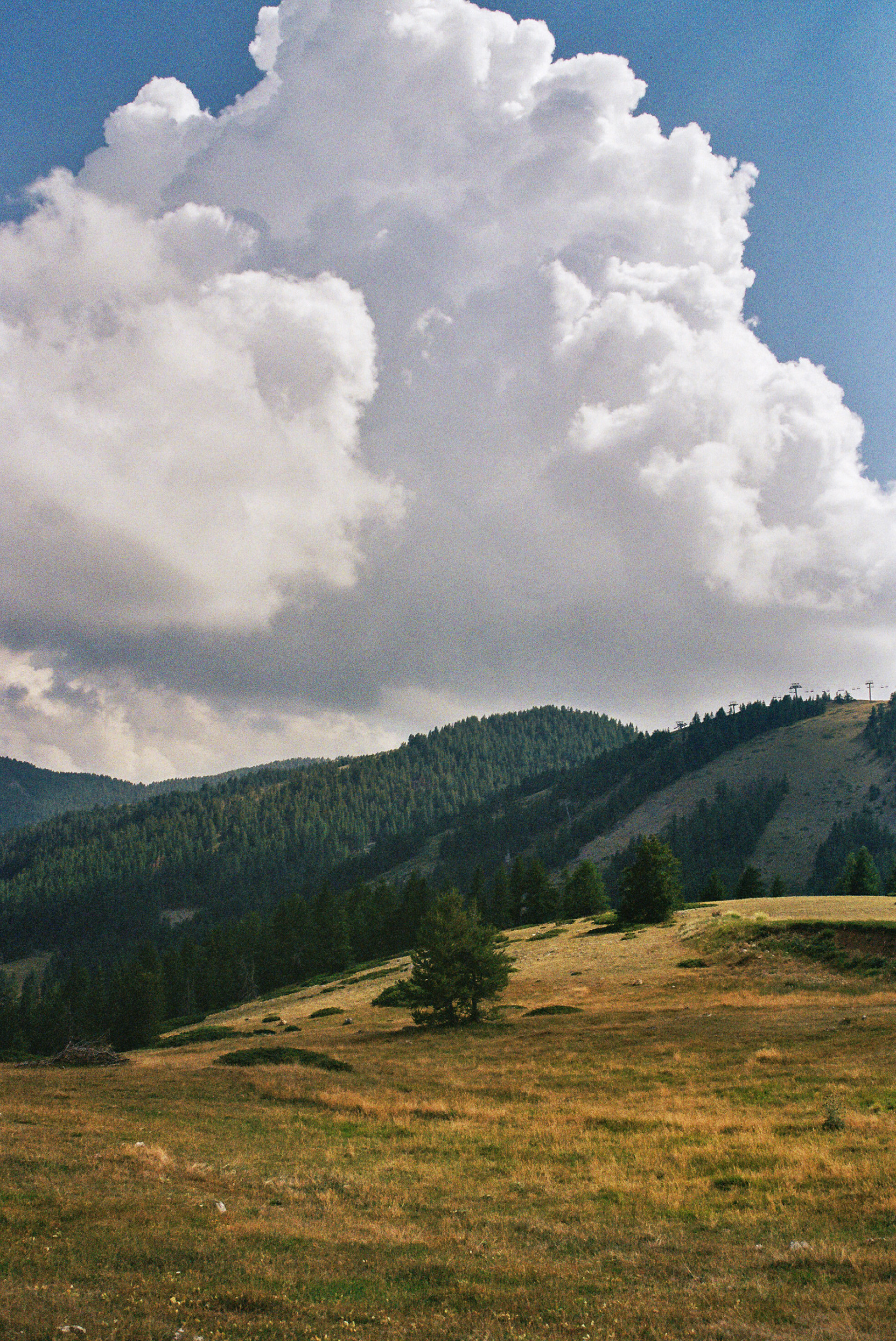 Photo argentique, sur pellicule Kodak Gold 200