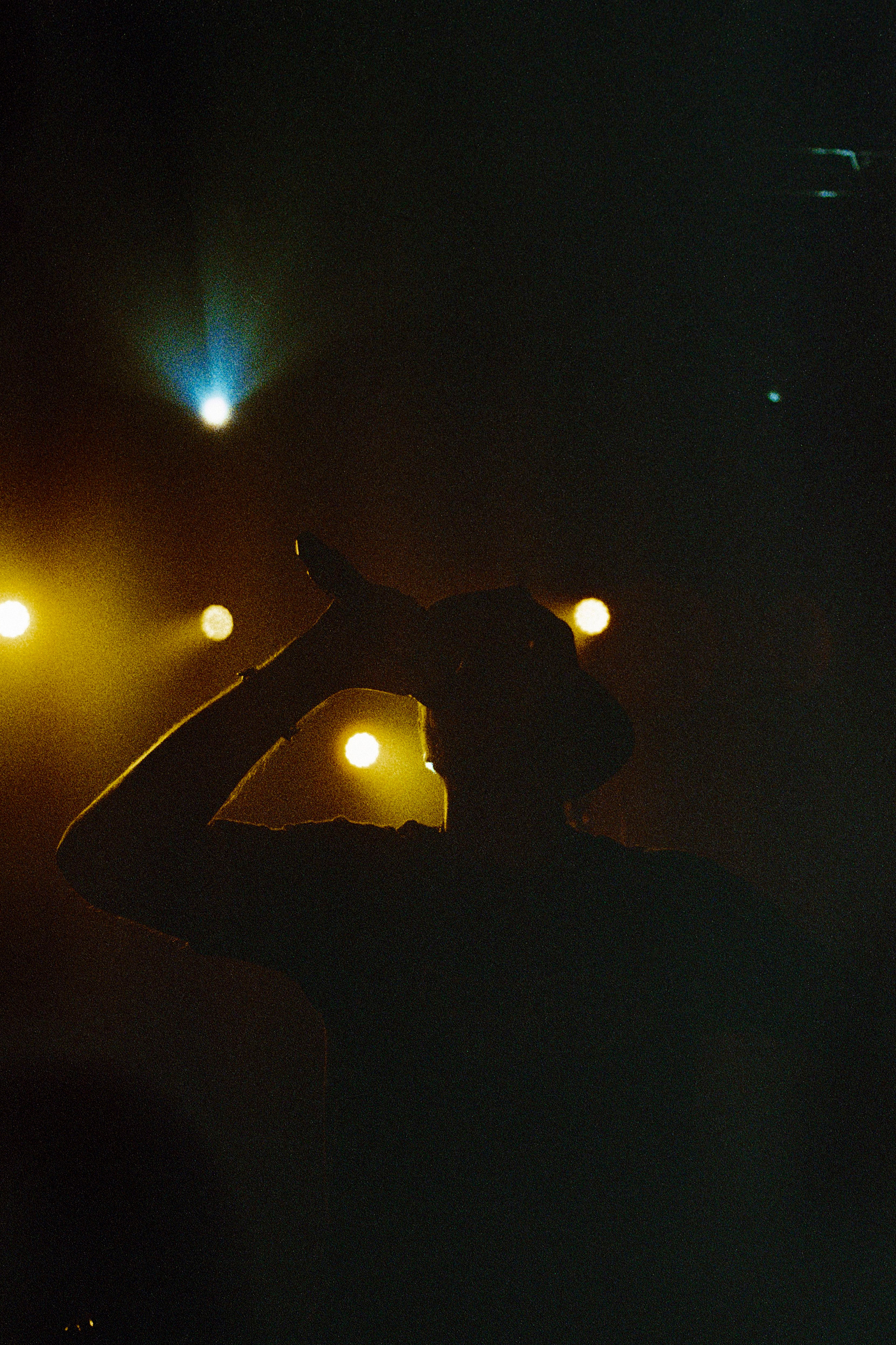 Photo argentique, sur pellicule Kodak Portra 800 pousée à 3200