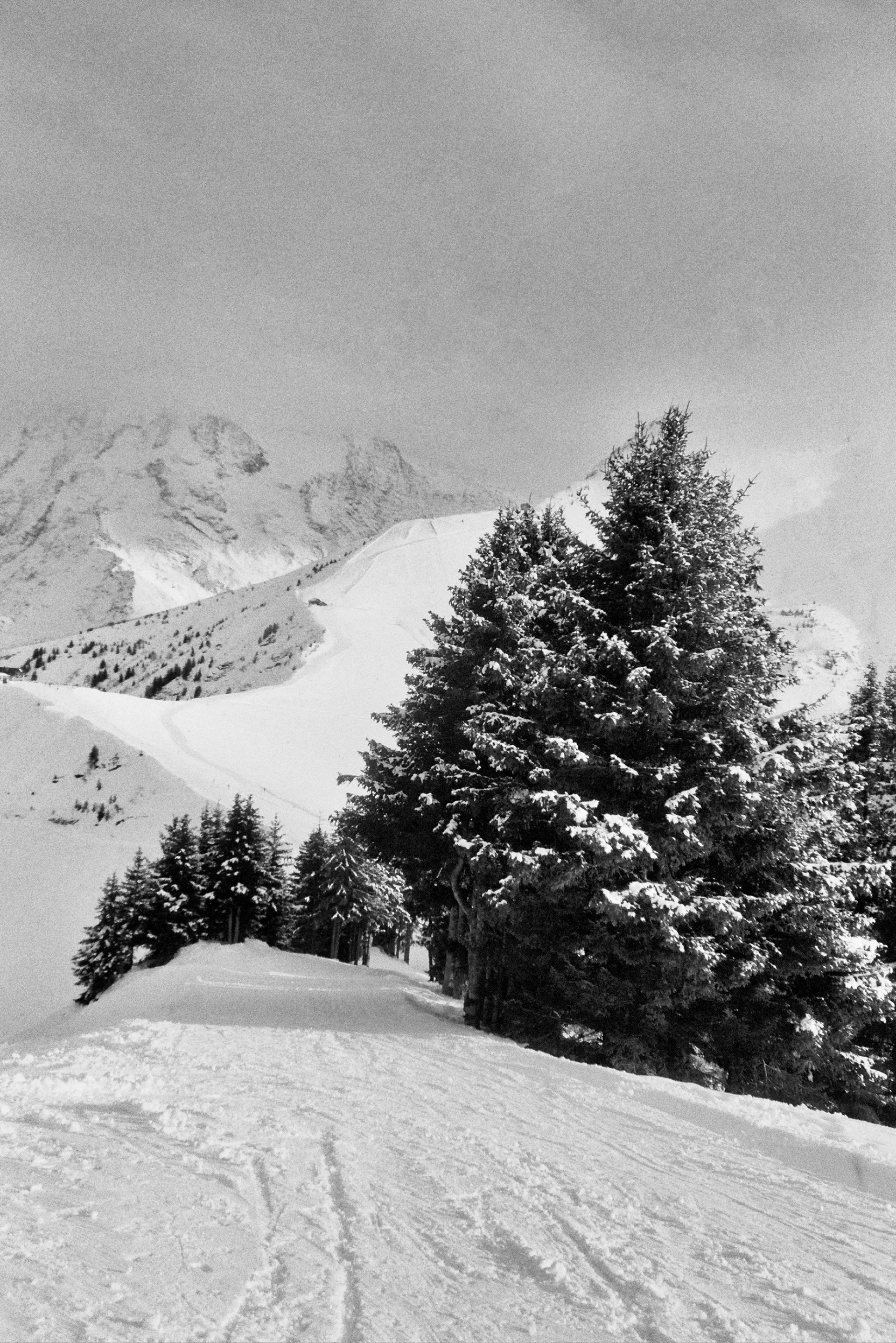 Photo argentique, sur pellicule Nation Photo 400