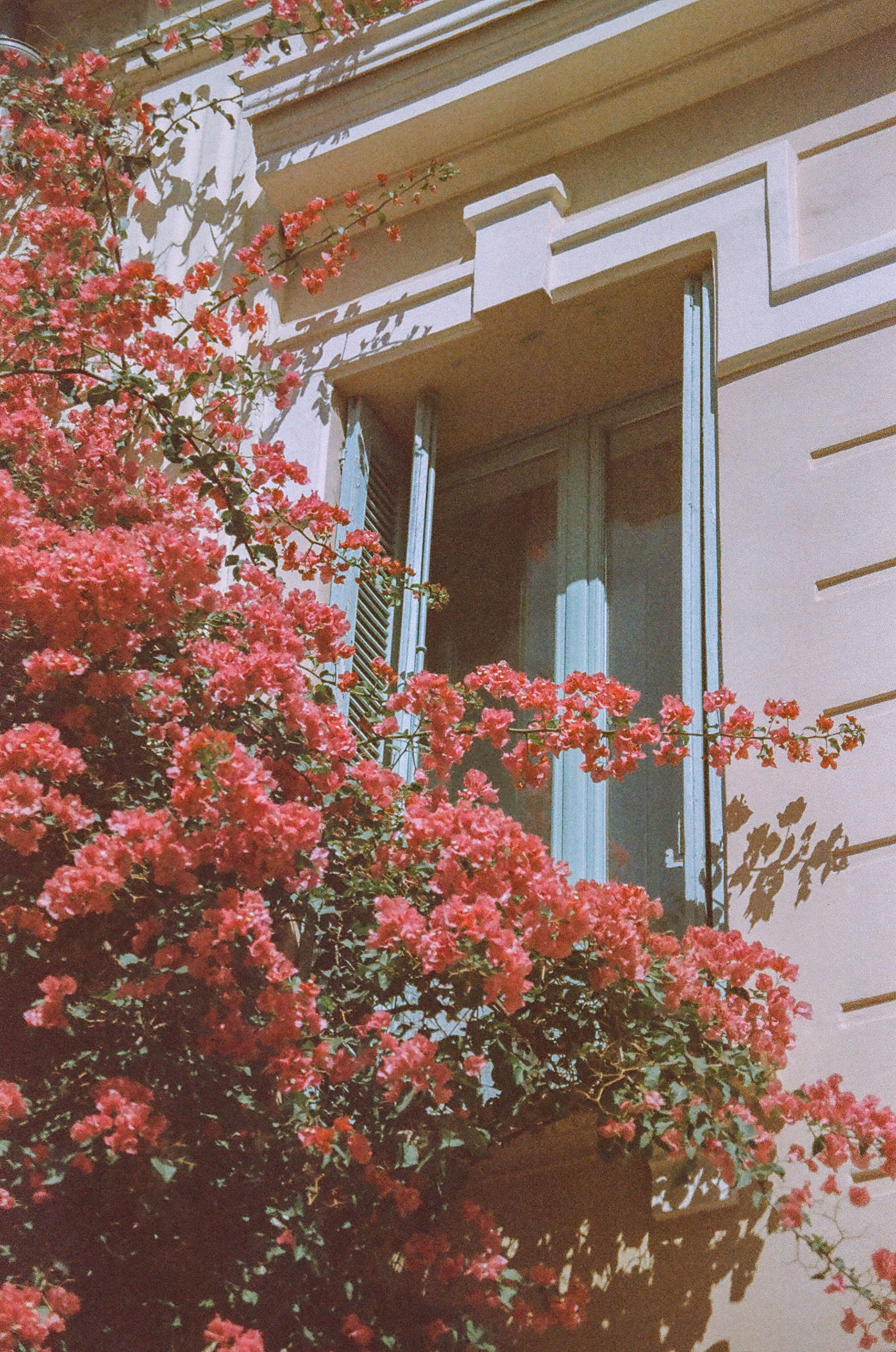 Photo argentique, sur pellicule Kodacolor 100 at 50, expired 2002