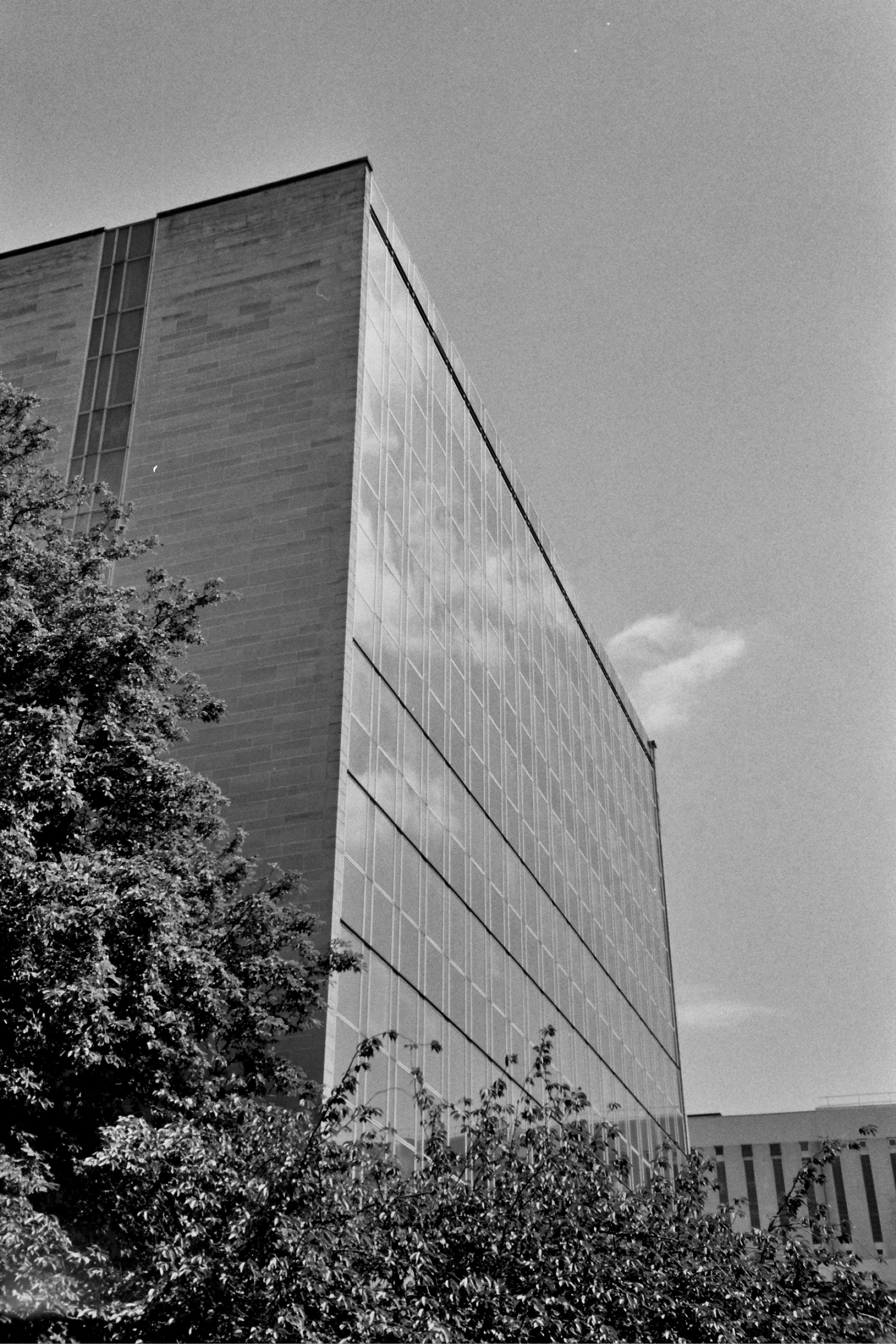 Photo argentique, sur pellicule Fujifilm Neopan Acros II