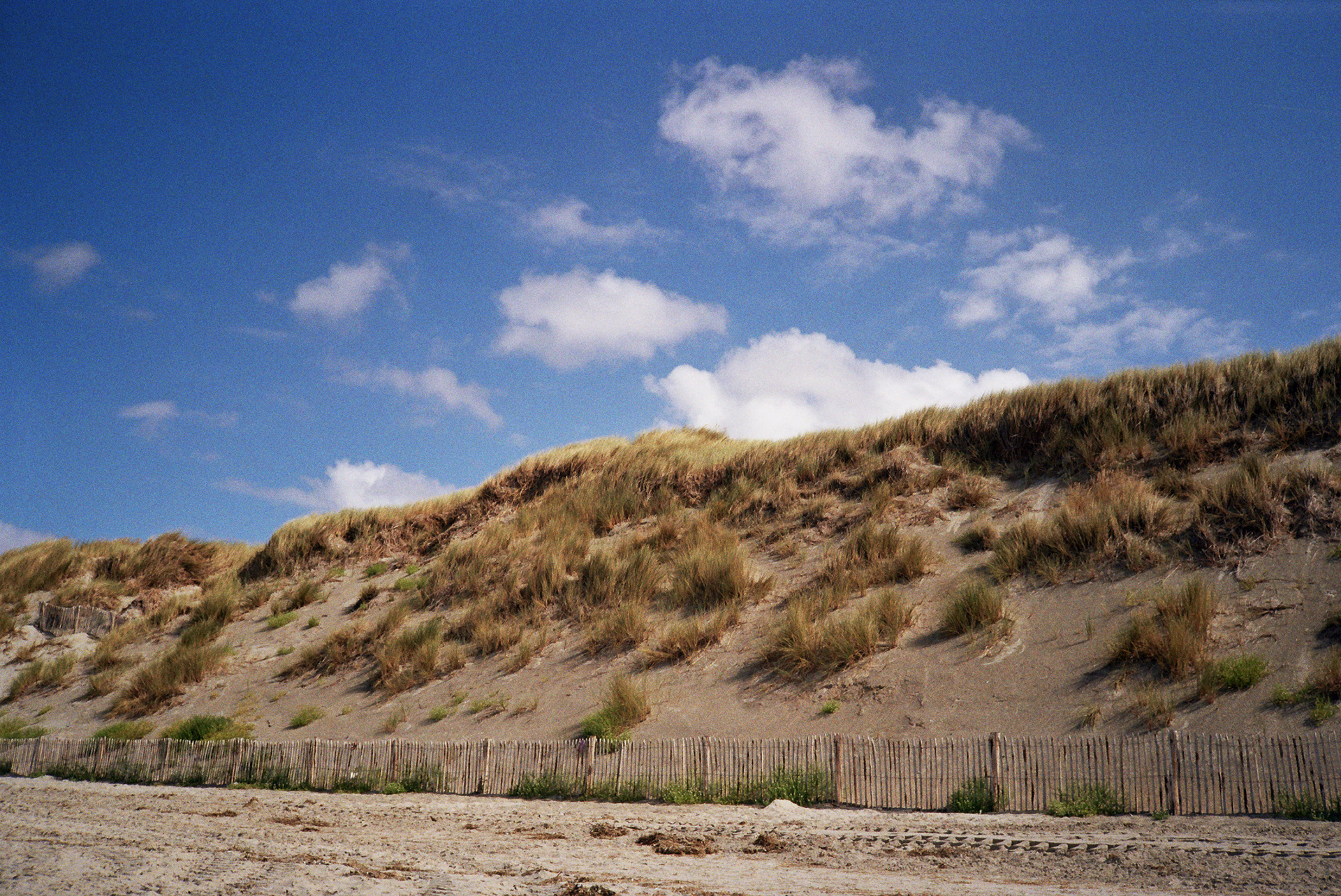 Photo argentique, sur pellicule Fujifilm 200