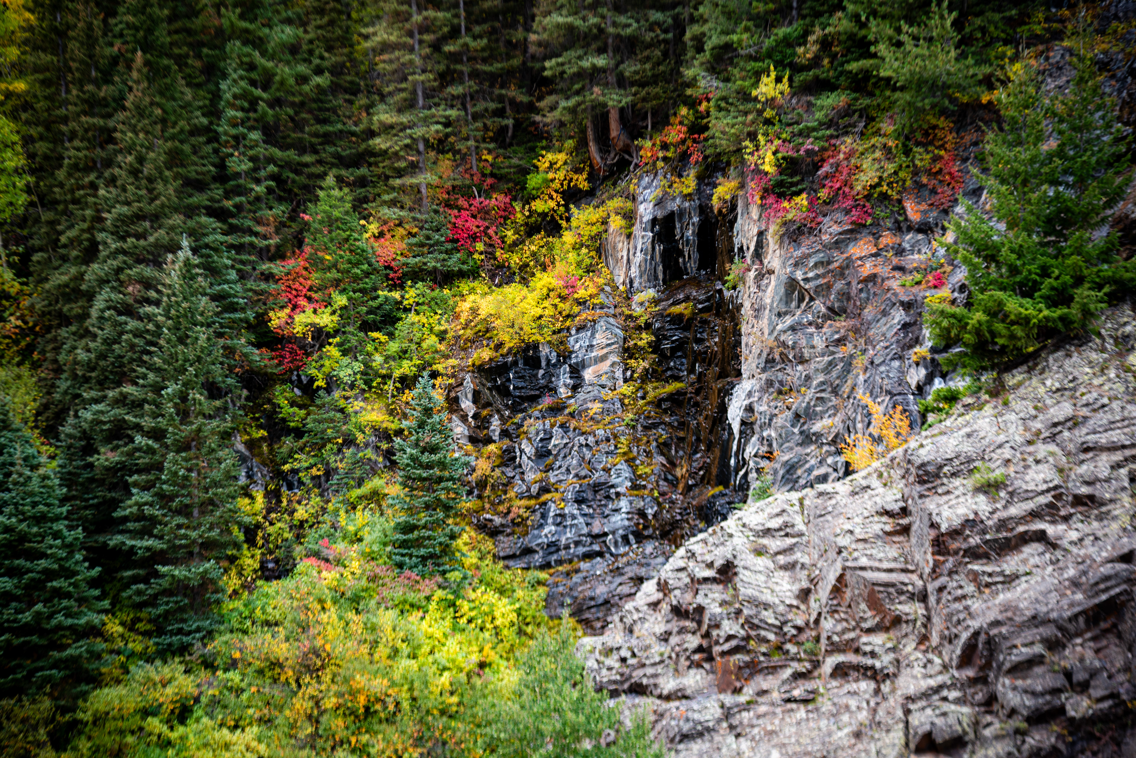 US Highway 550, CO