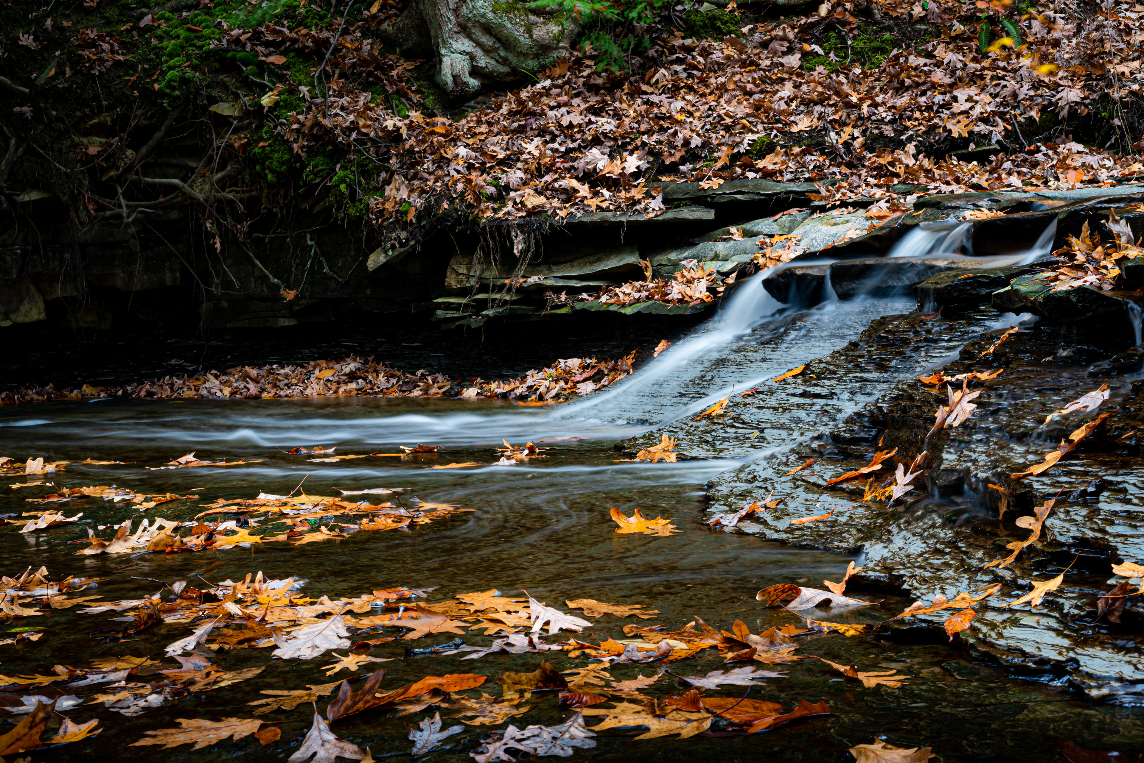 Bridal Veil Falls | Cuyahoga Valley National Park