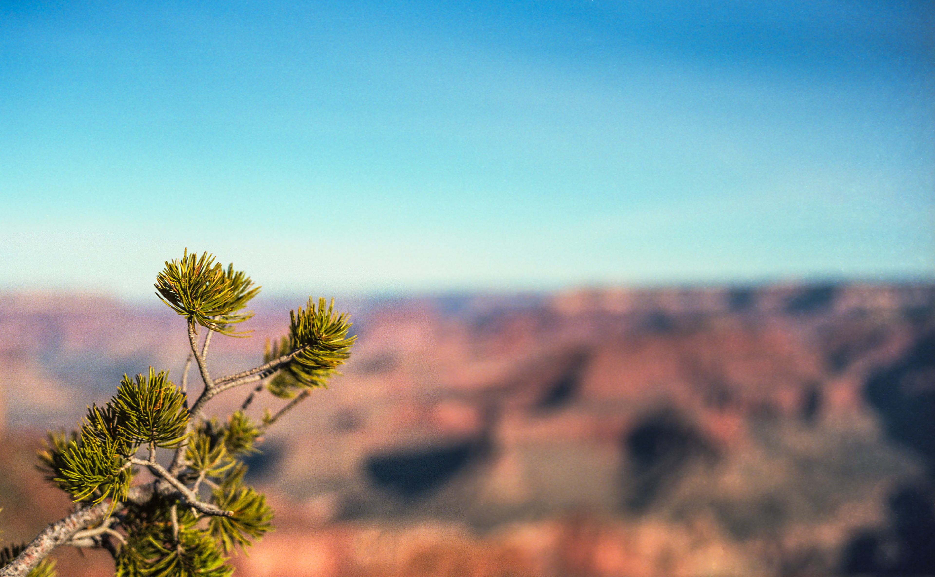 South Rim | Grand Canyon National Park