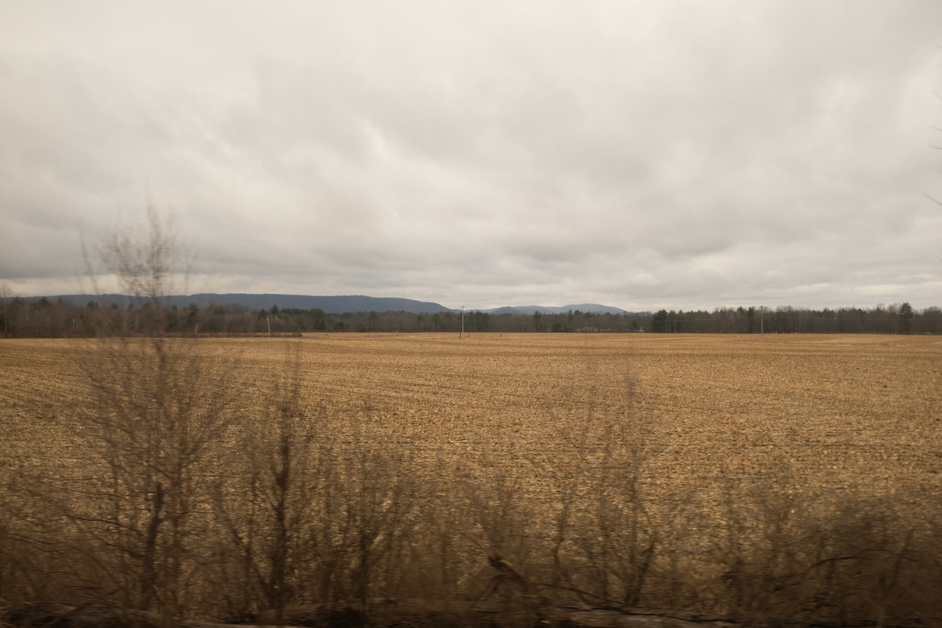 On the Train in Vermont