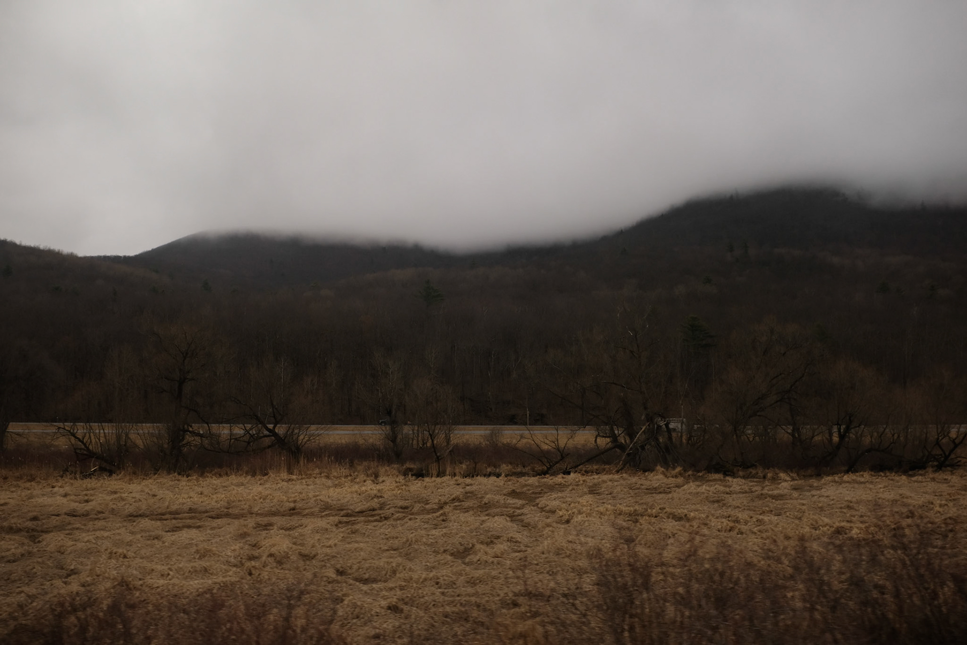 On the Train in Vermont