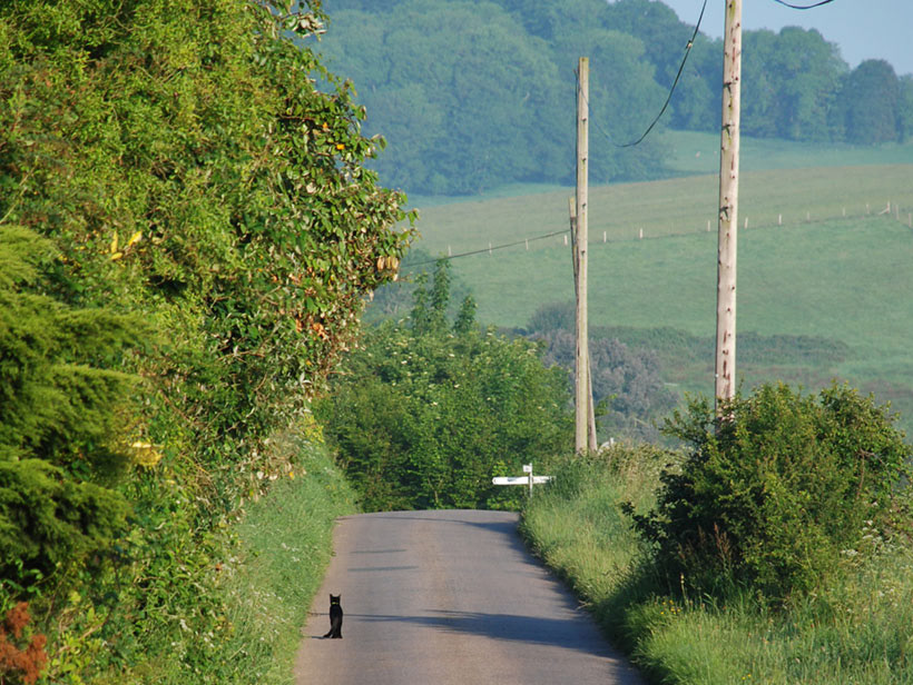 Southford Lane