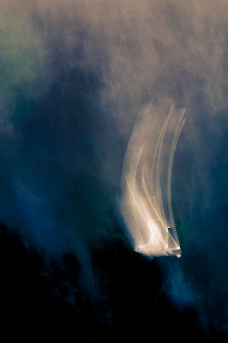 Misty wings