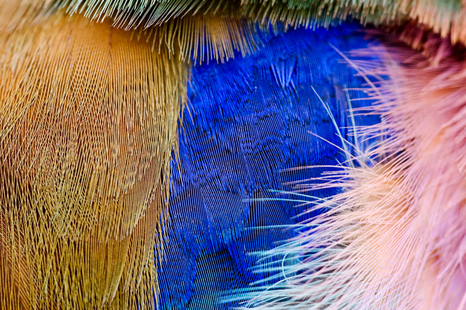 8-bit RGB layered PSD w/max. compatibility  file, 3504x2336 pixels (11.68x7.79 inches) @ 300.00 pixels/inch, written by Adobe Photoshop CS