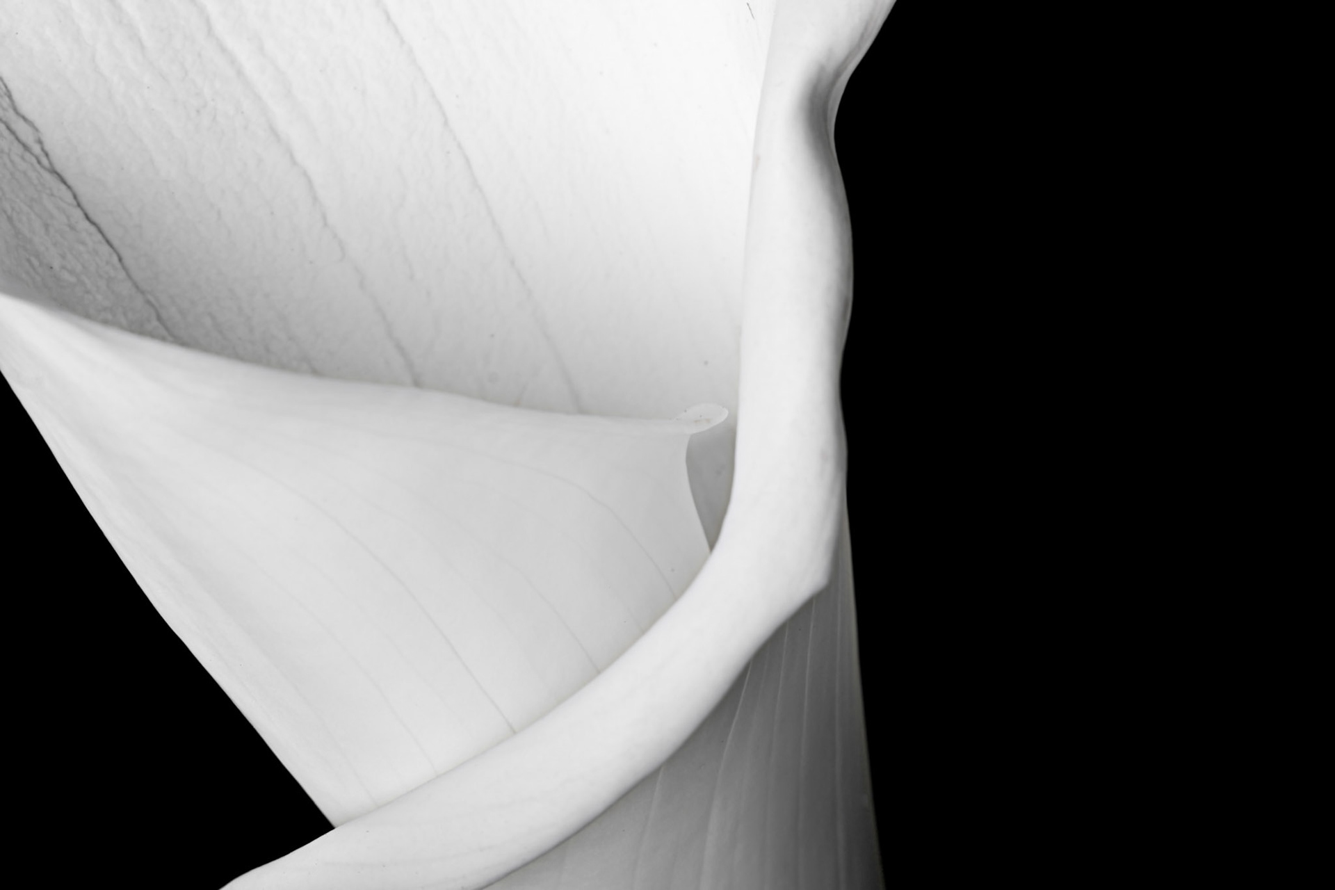 Digitial Image