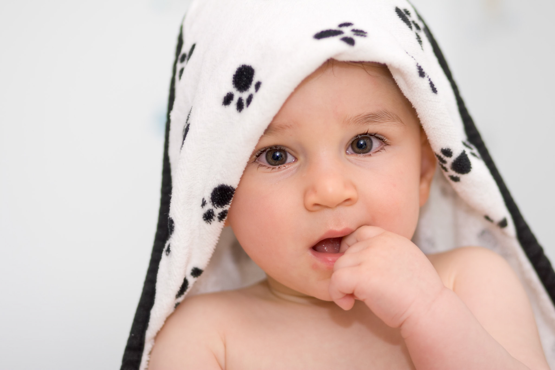 8-bit RGB layered PSD w/max. compatibility  file, 3504x2336 pixels (11.68x7.79 inches) @ 300.00 pixels/inch, written by Adobe Photoshop CS