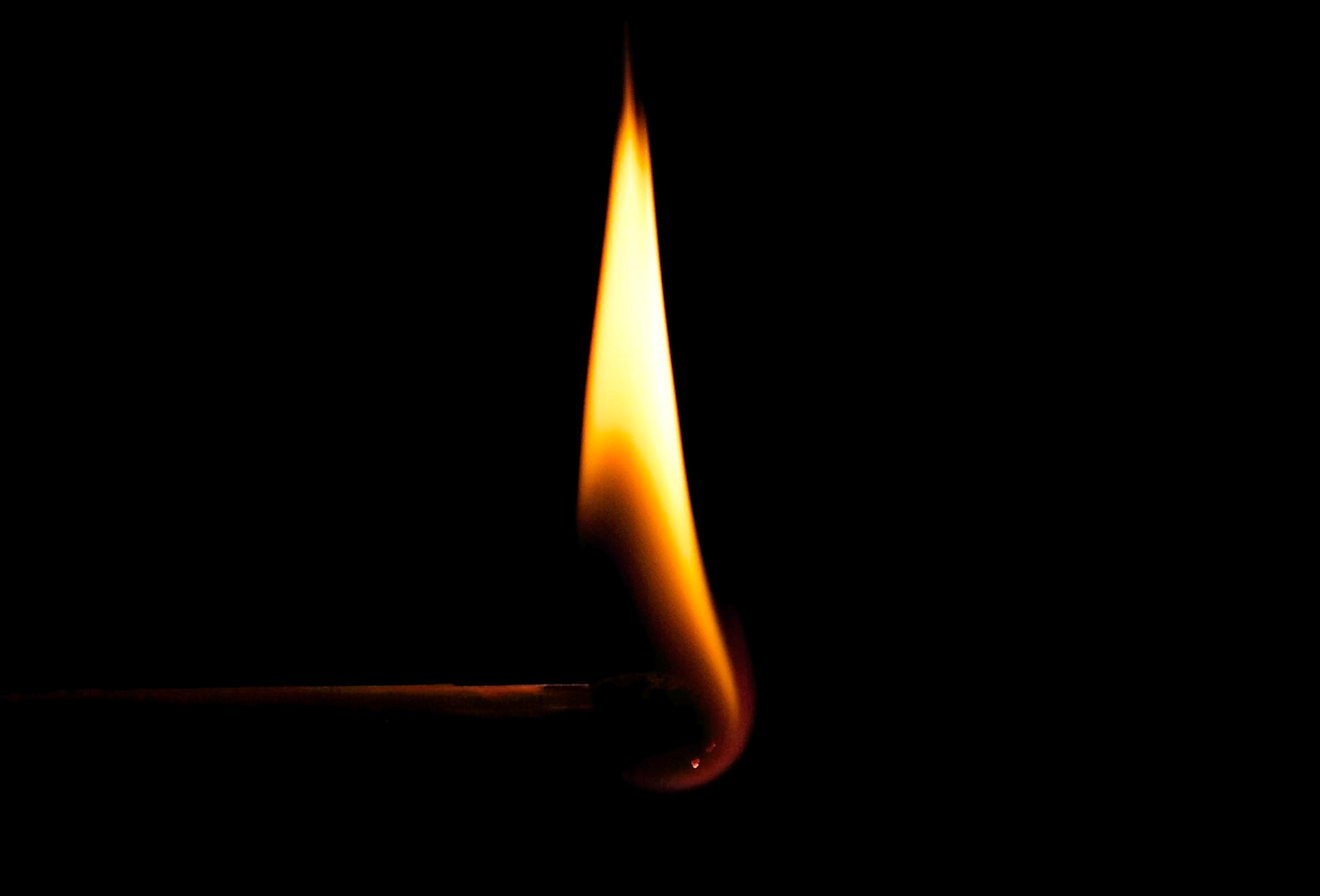 Capturefile: P:\Mahin's Photoshop Album\Canon 10D\2004-04-06\Raw\CRW_6773.CRWCaptureSN: 330202319-2676773.274617Software: Capture One DSLR 1.2 Limited Edition for Windows