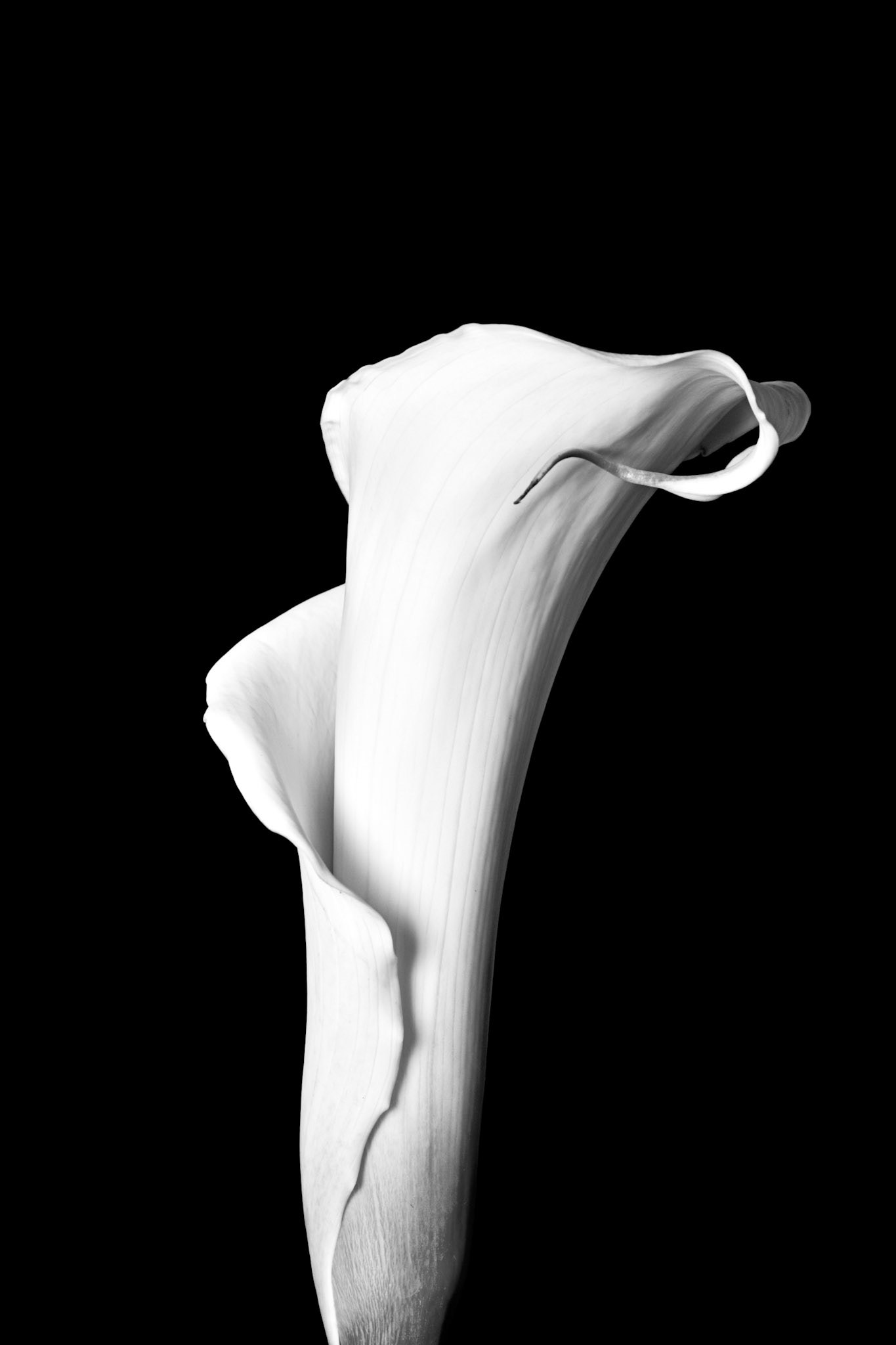 Digitial Image