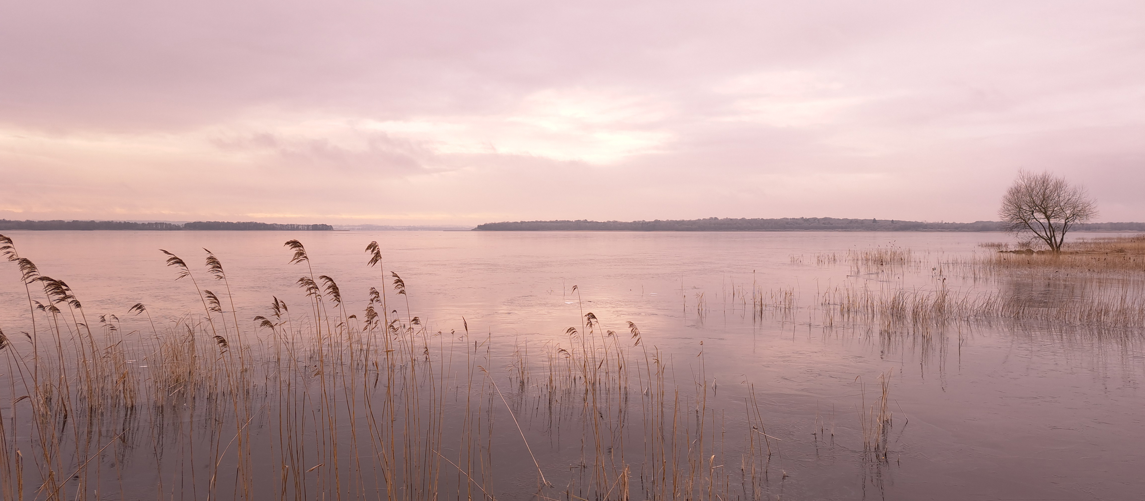 Carina Johansson, Bilden är tagen i Höörs kommun. En frostig gryning vid Ringsjöns strand!