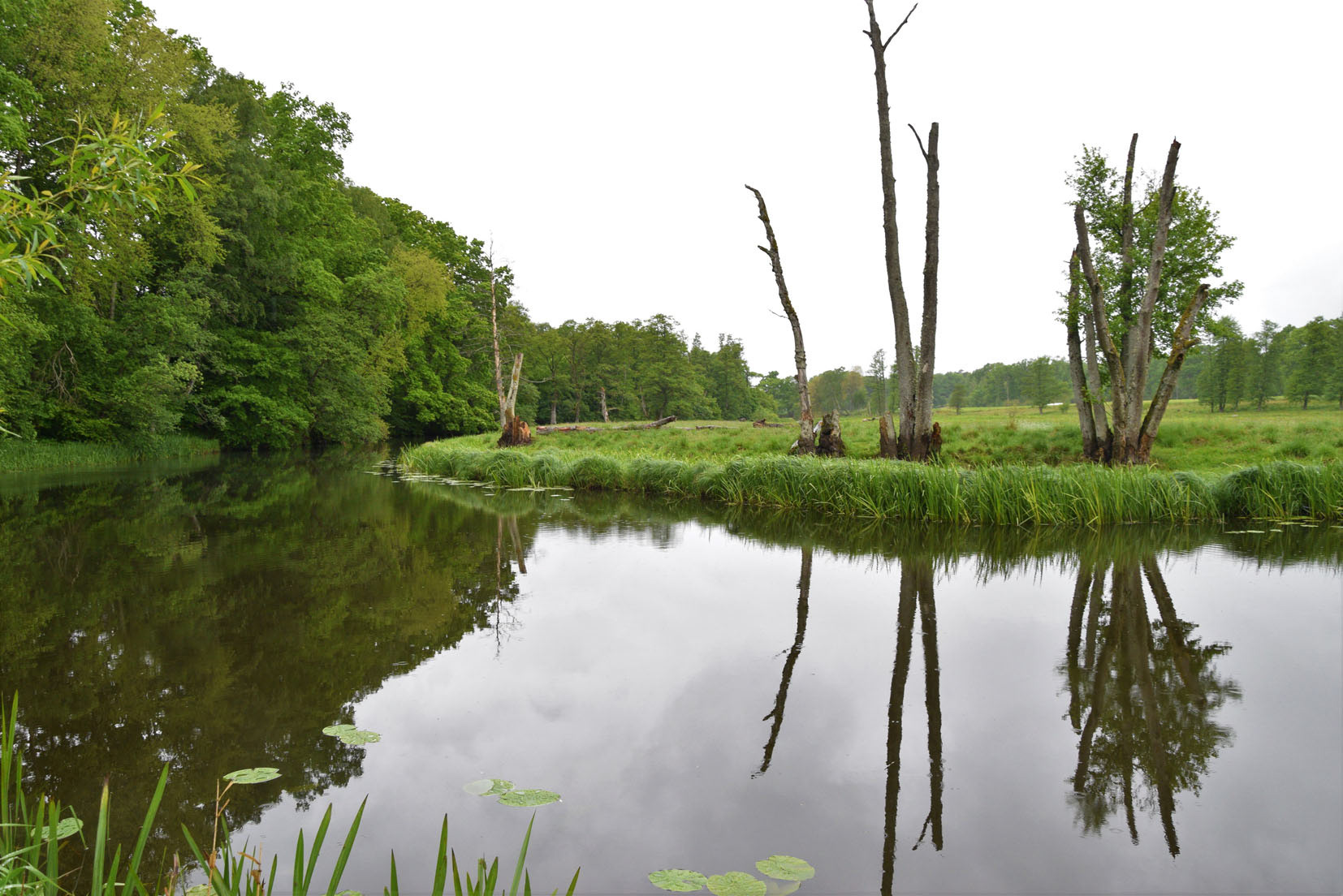 Leif Olofsson, Bilden är tagen i Klippans kommun. Mitt bidrag är en bild tagen vid Rönne å, mellan Spången och Nybro.