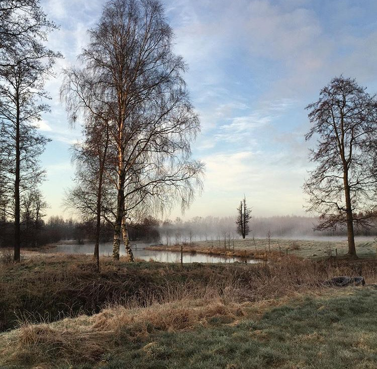 Helen Persson-Olsbring, Bilden är tagen i Hörby kommun. Magiska utsikten från vårt hus i Ludvigsborg. Ej retuscherad. Så vacker var morgonen.
