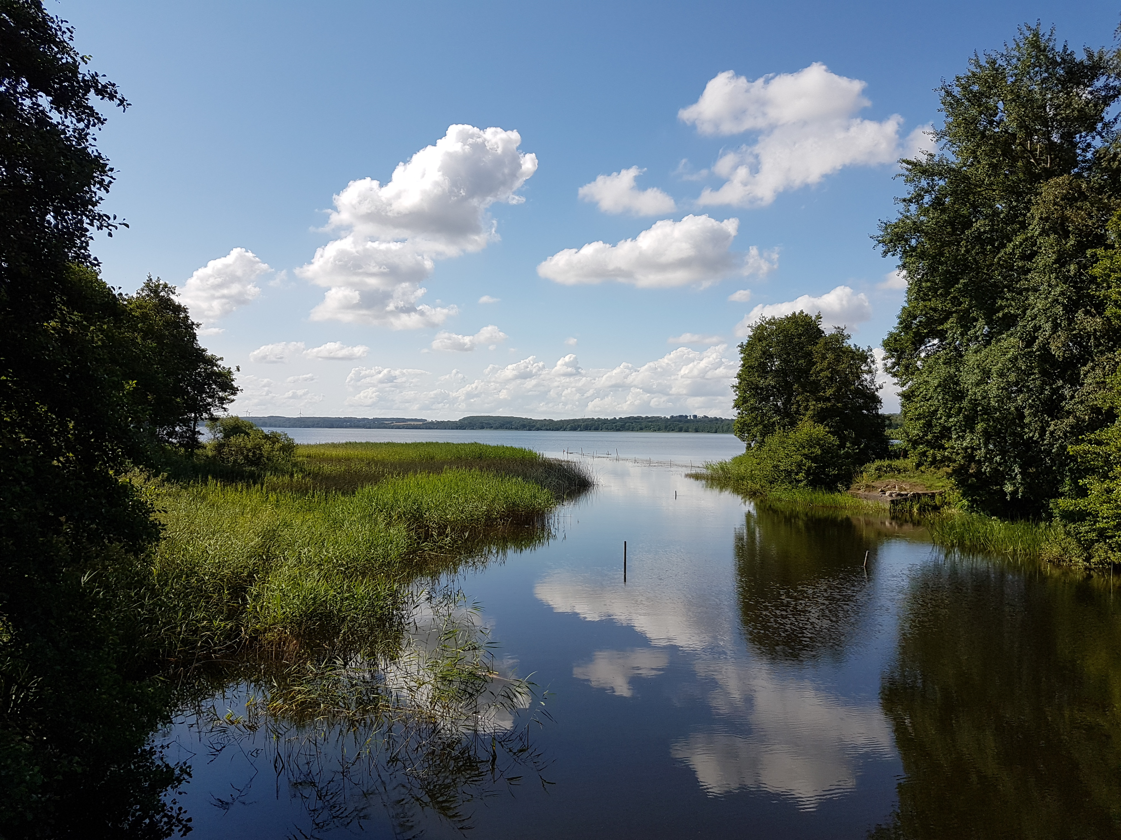 Annelie Wremby, Bilden är tagen i Eslövs kommun. Sommardag vid Rönneås utlopp mot Ringsjön.