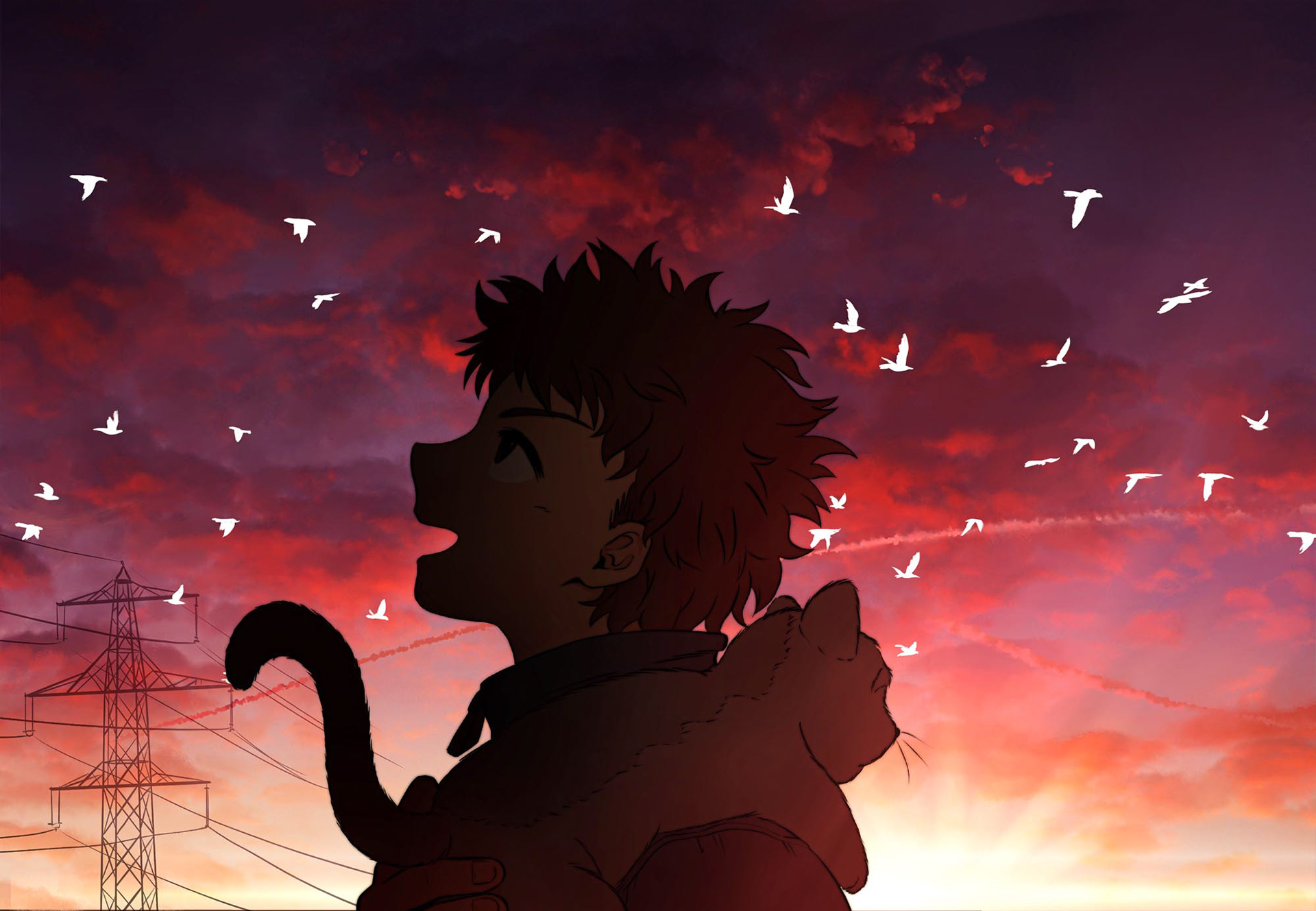 Walking the Cat