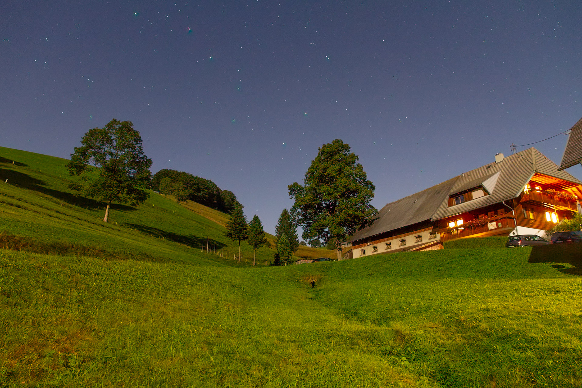 Black Forest at Night