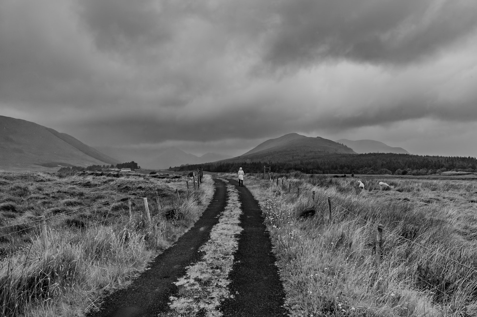 Somewhere in Western Ireland