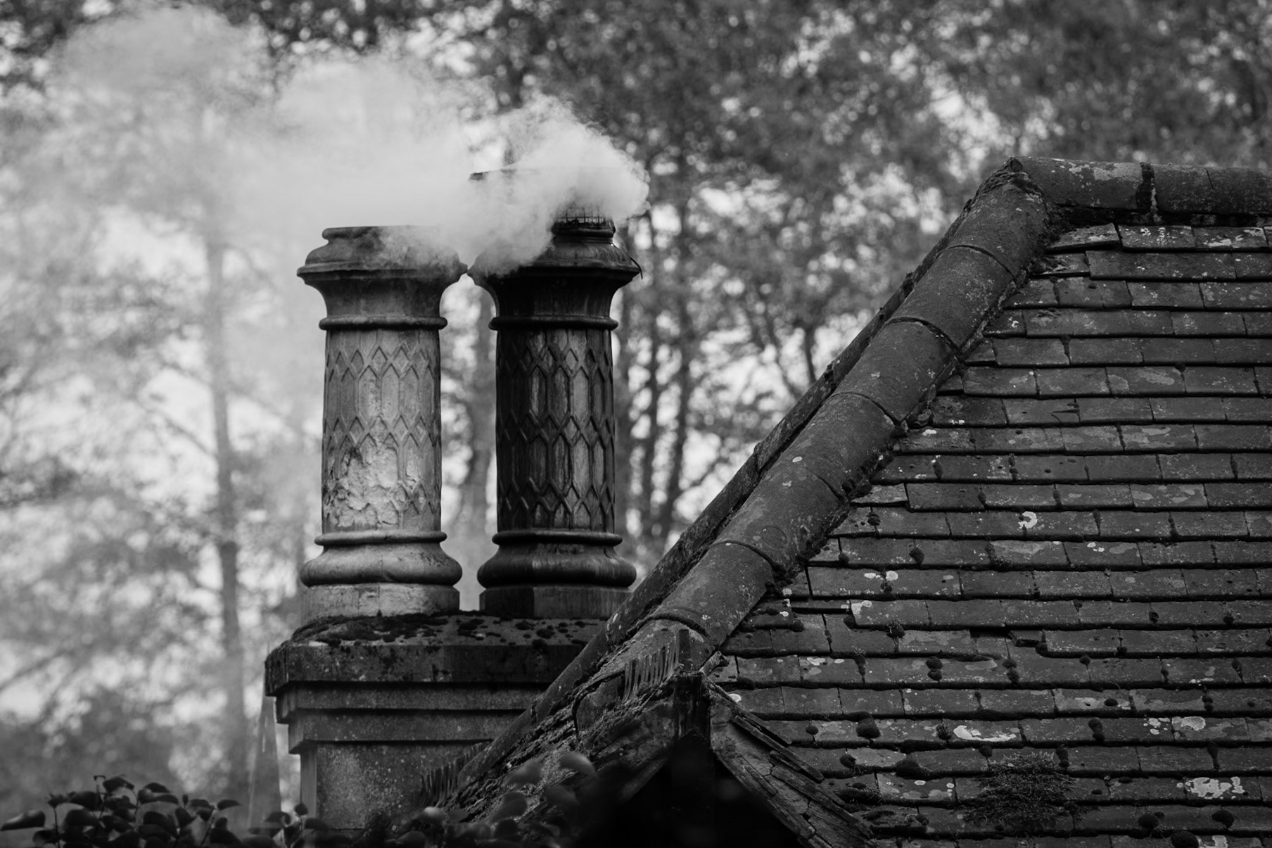 Chimney Smoke in Black and White