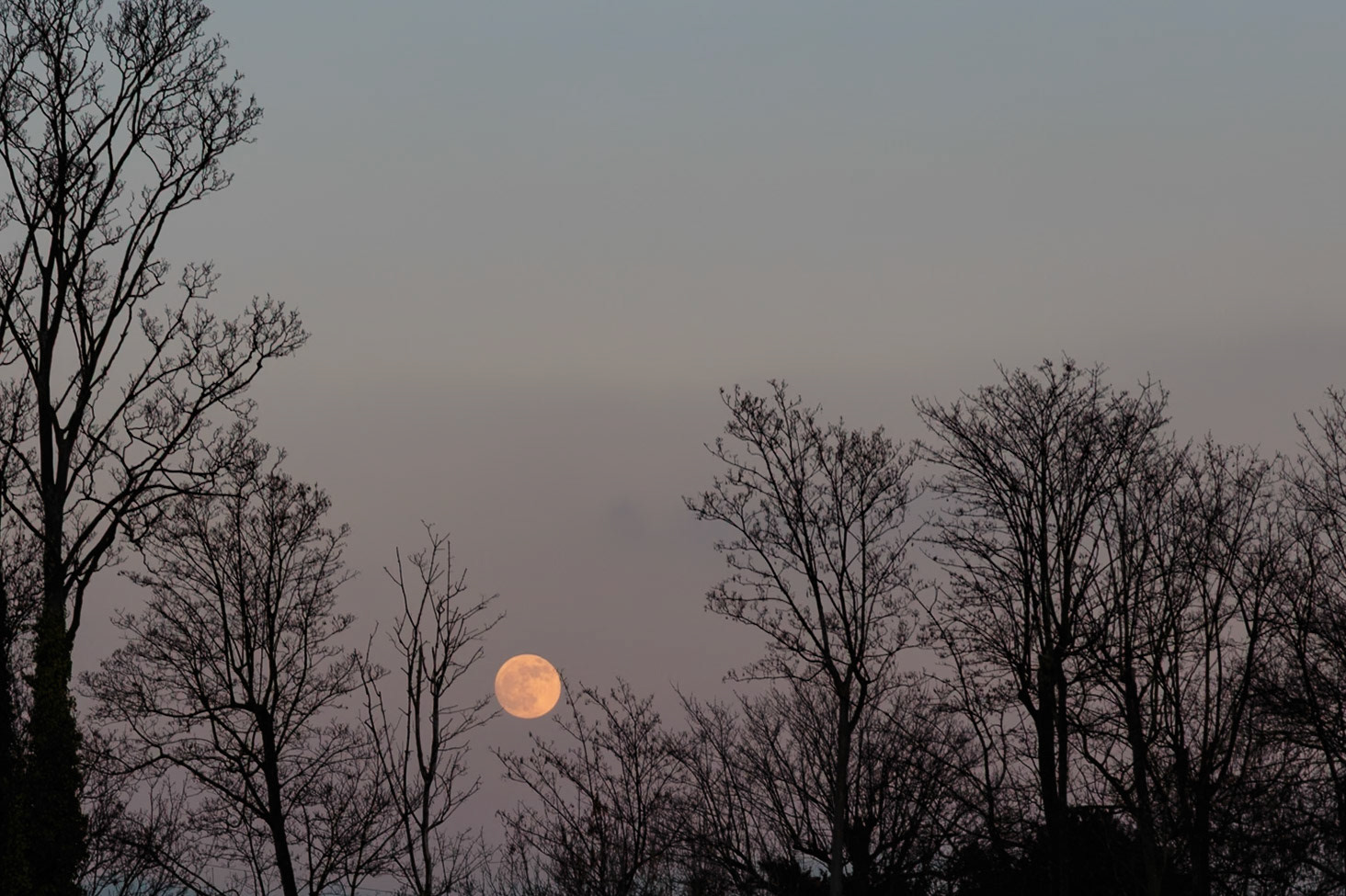 Super Moon Rising