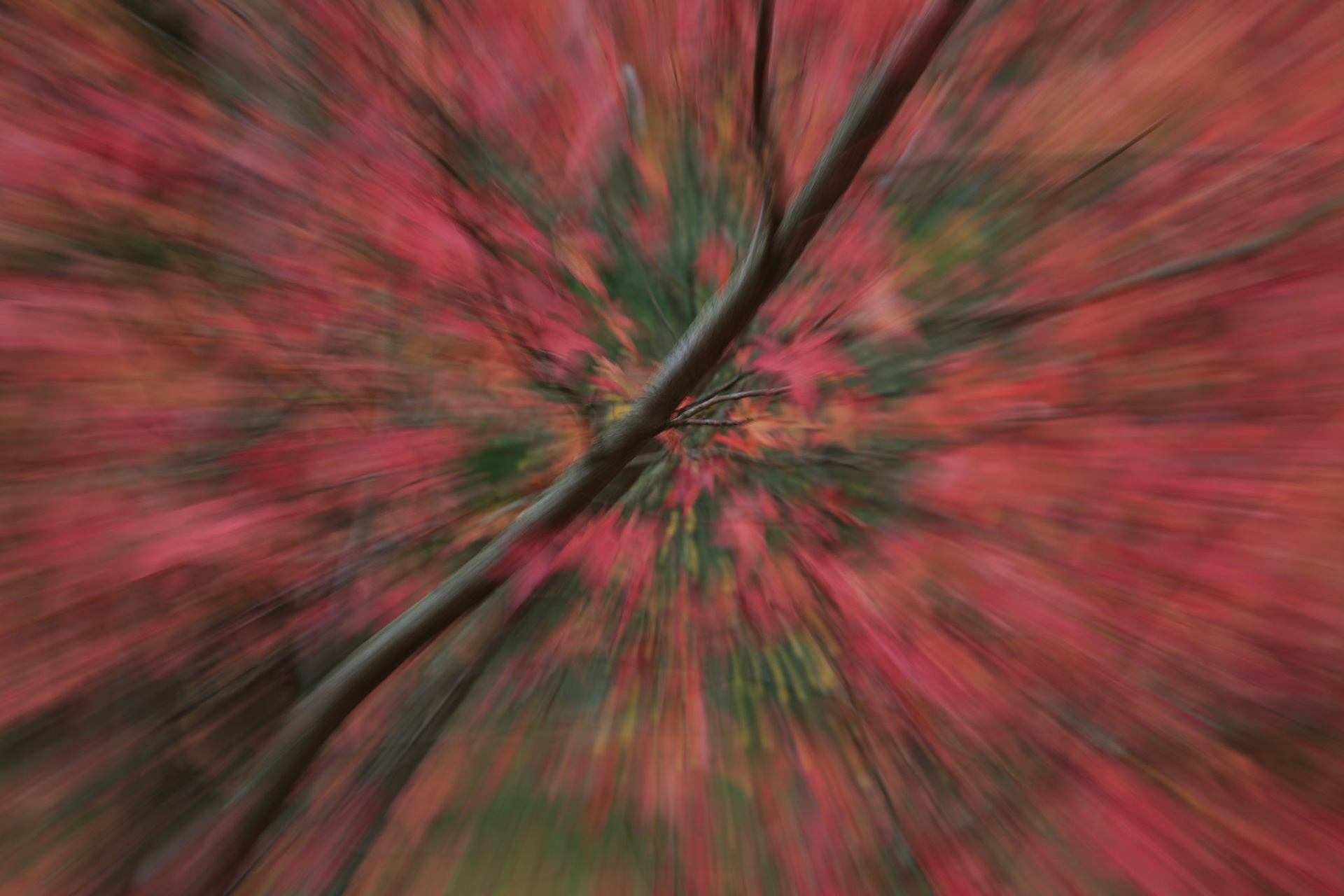 Red Burst